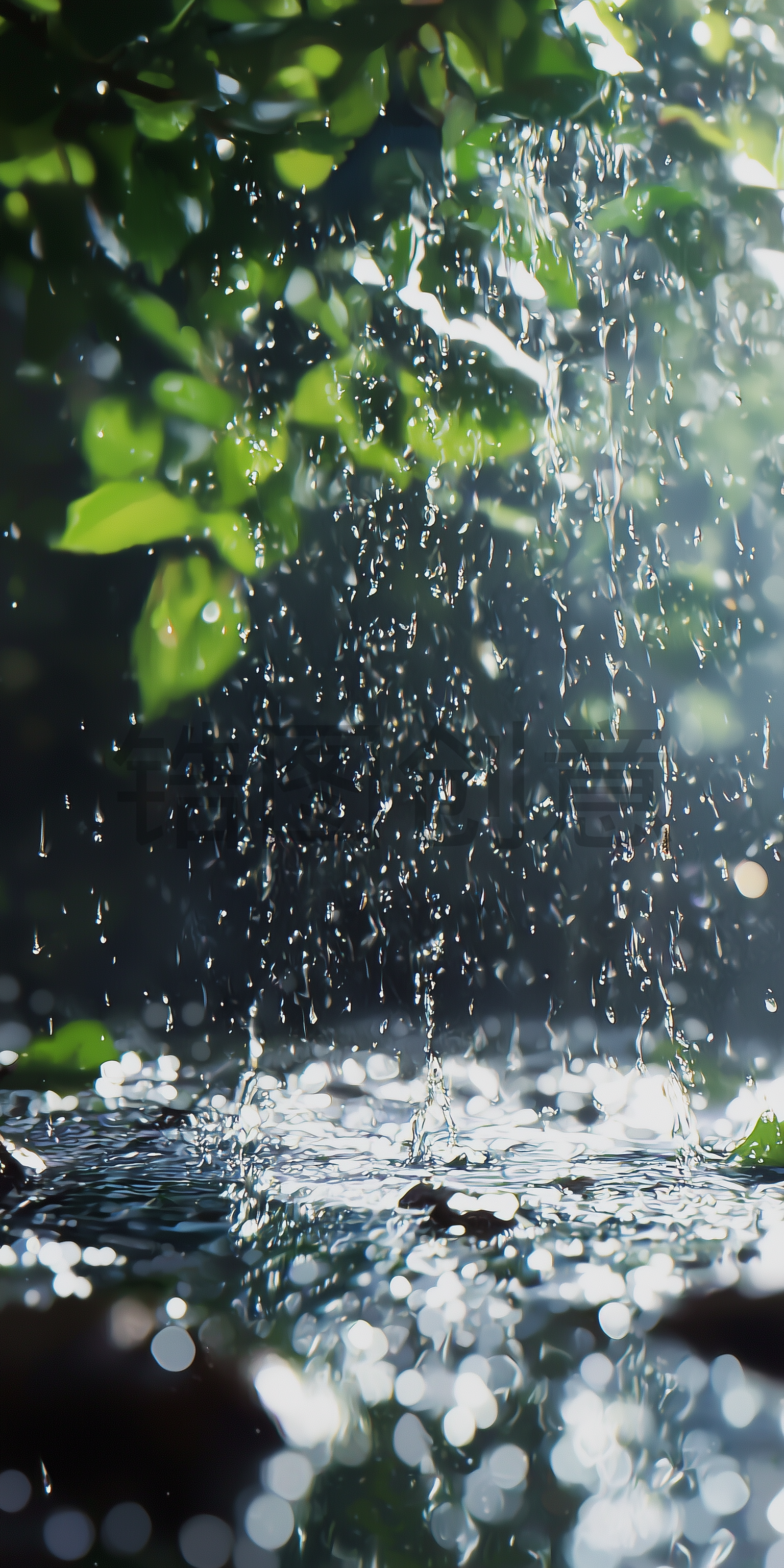 定设网-雨水落在地面上写实特写