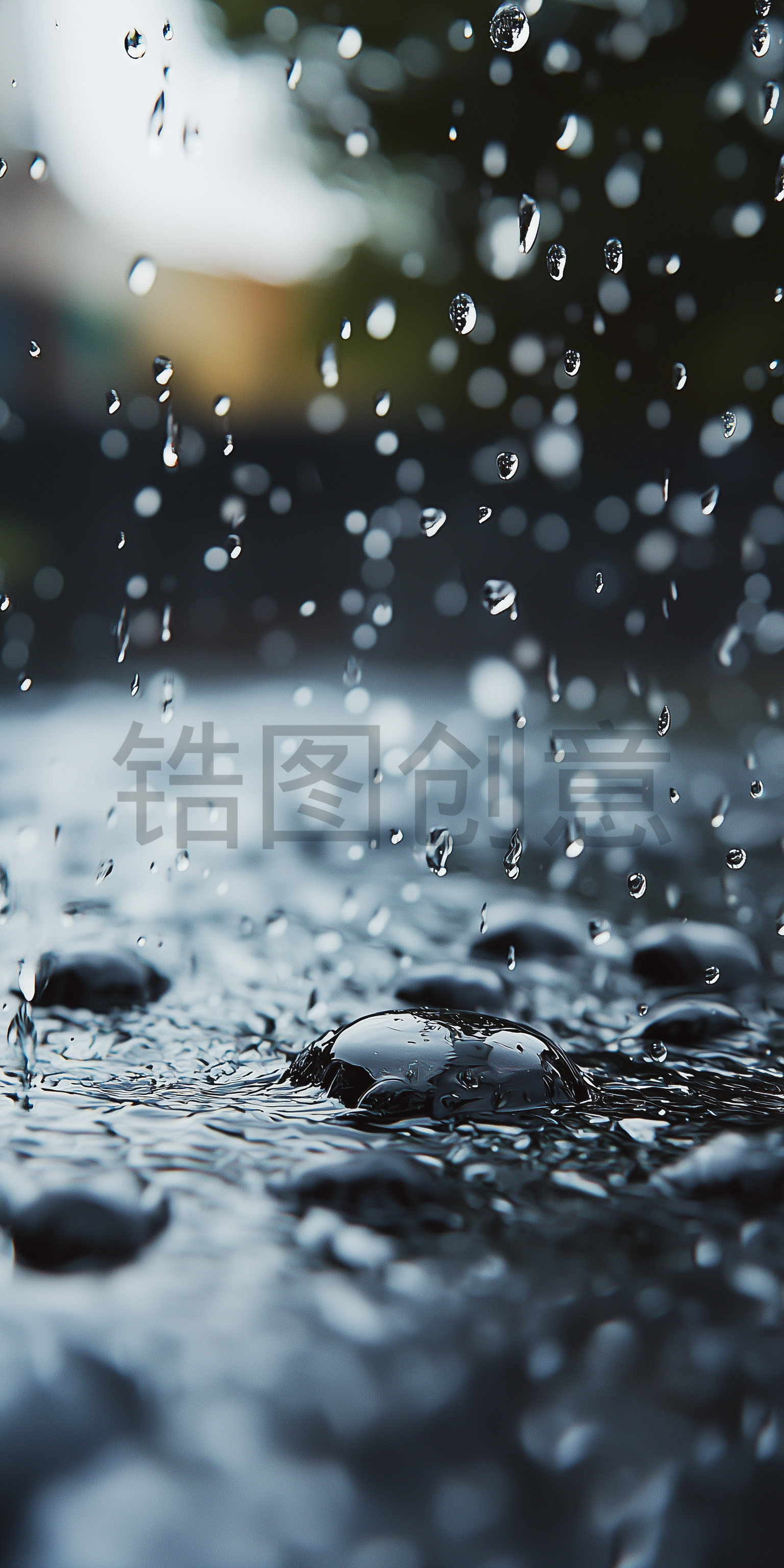定设网-雨水落在地面上写实特写