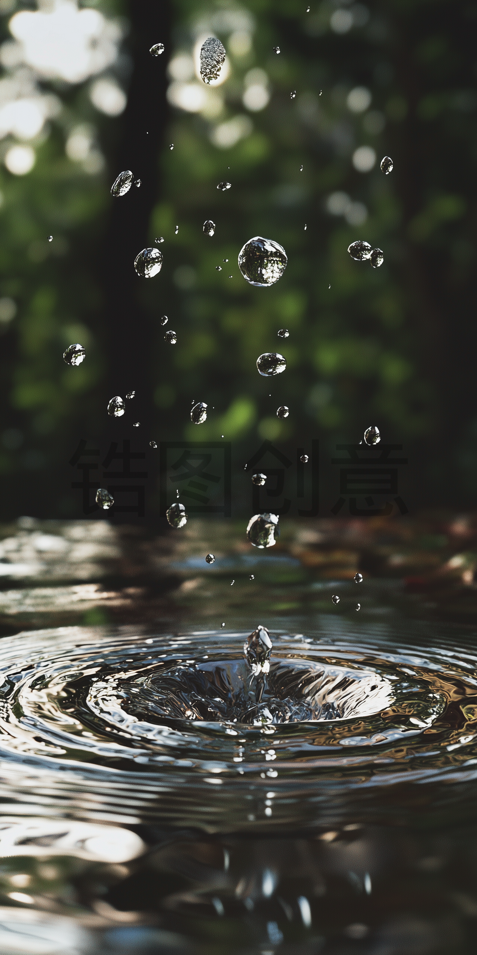 定设网-雨水落在地面上写实特写