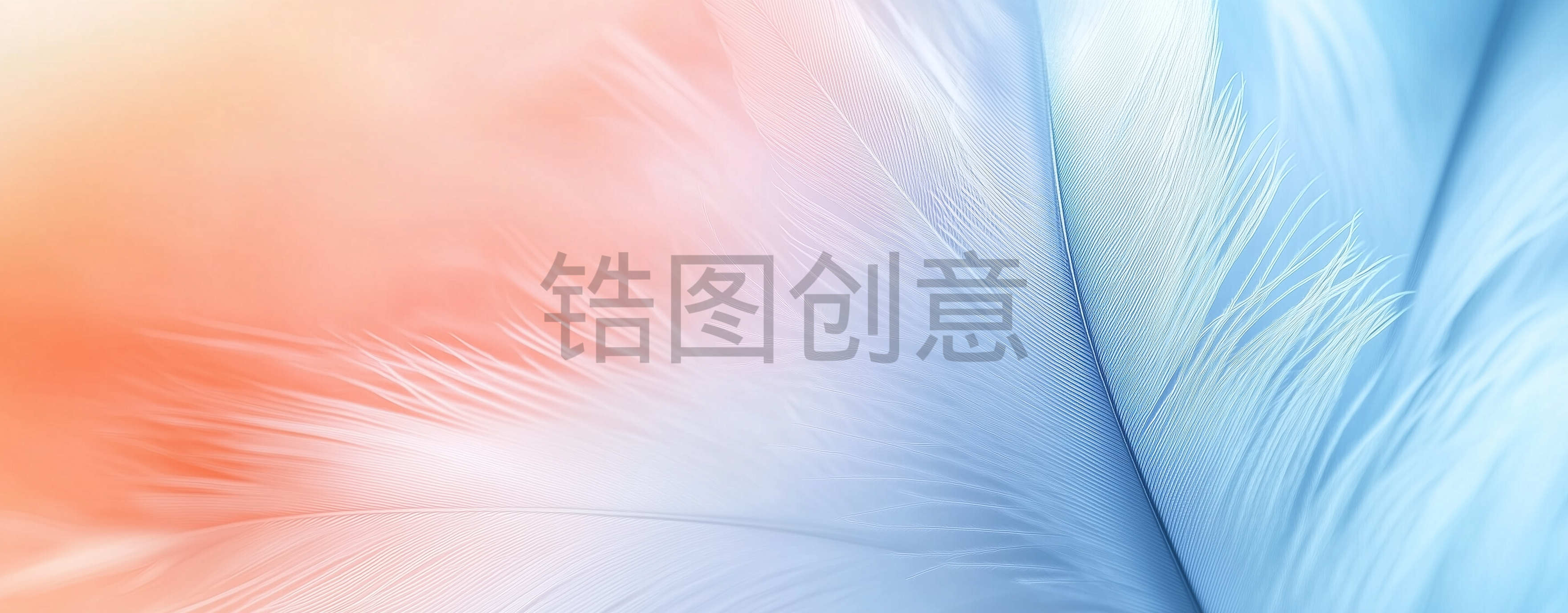 定设网-渐变抽象羽毛蓝色橙色渐变背景