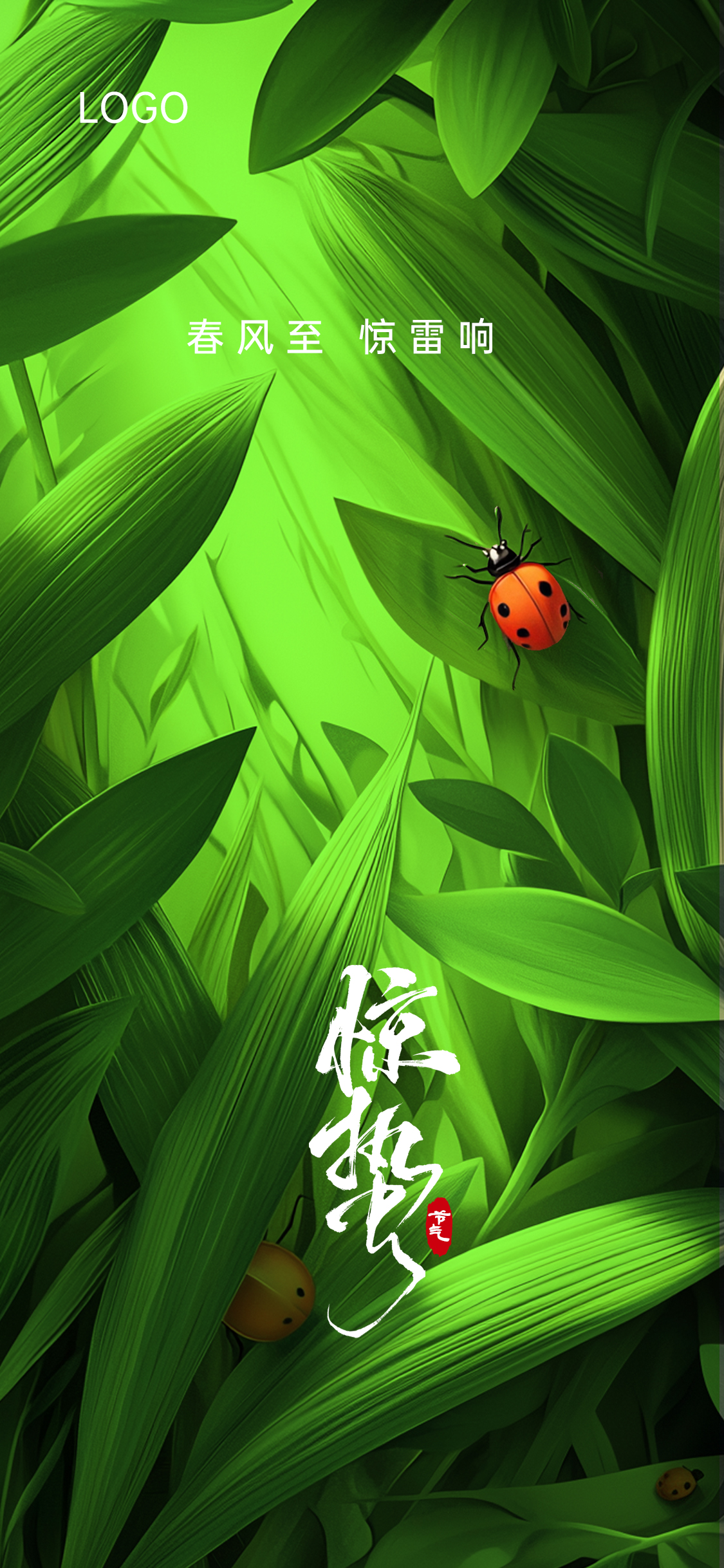 定设网-惊蛰节气原创海报