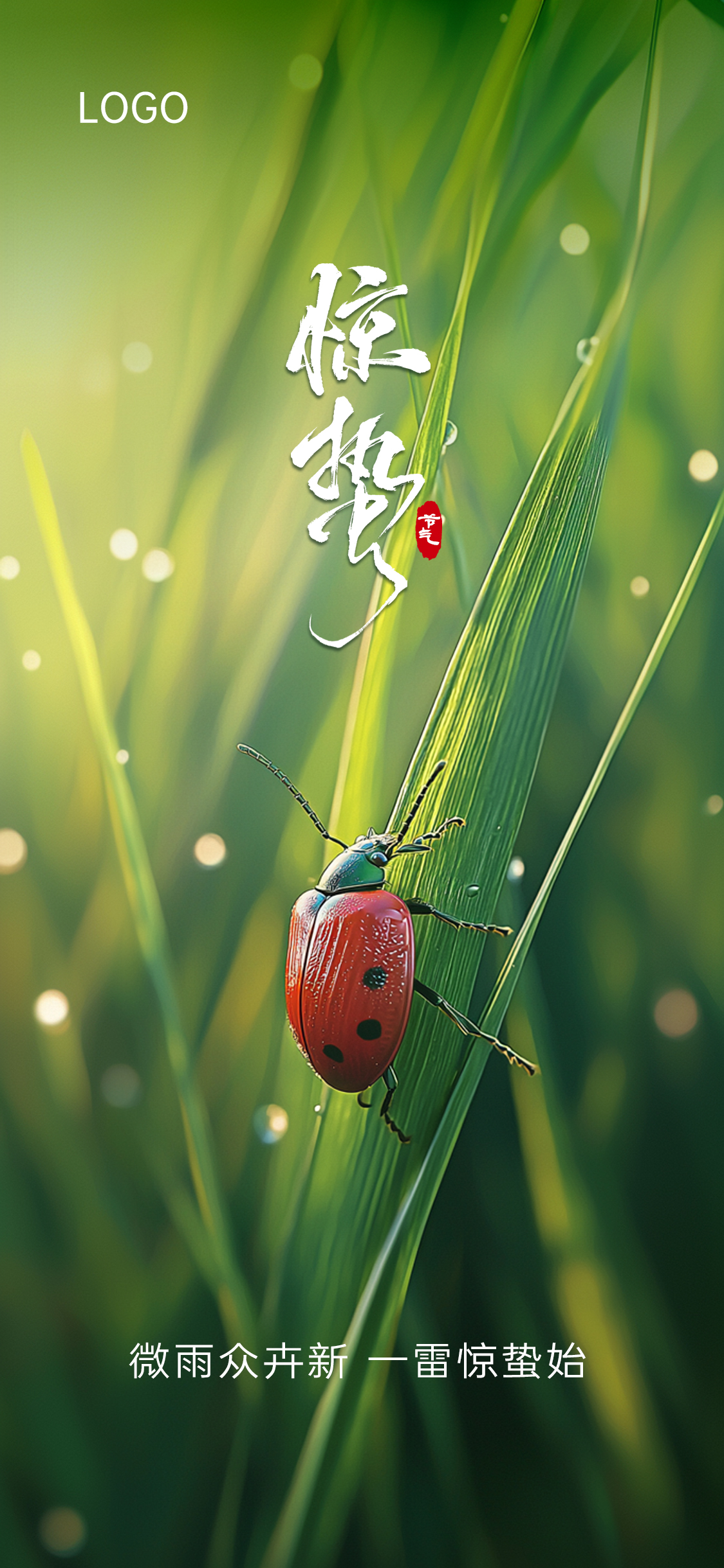定设网-绿色春季叶片瓢虫实景惊蛰节气壁纸海报