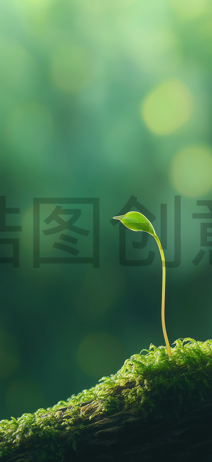 定设网-春天春季实景清新绿色植物发芽背景元素素材