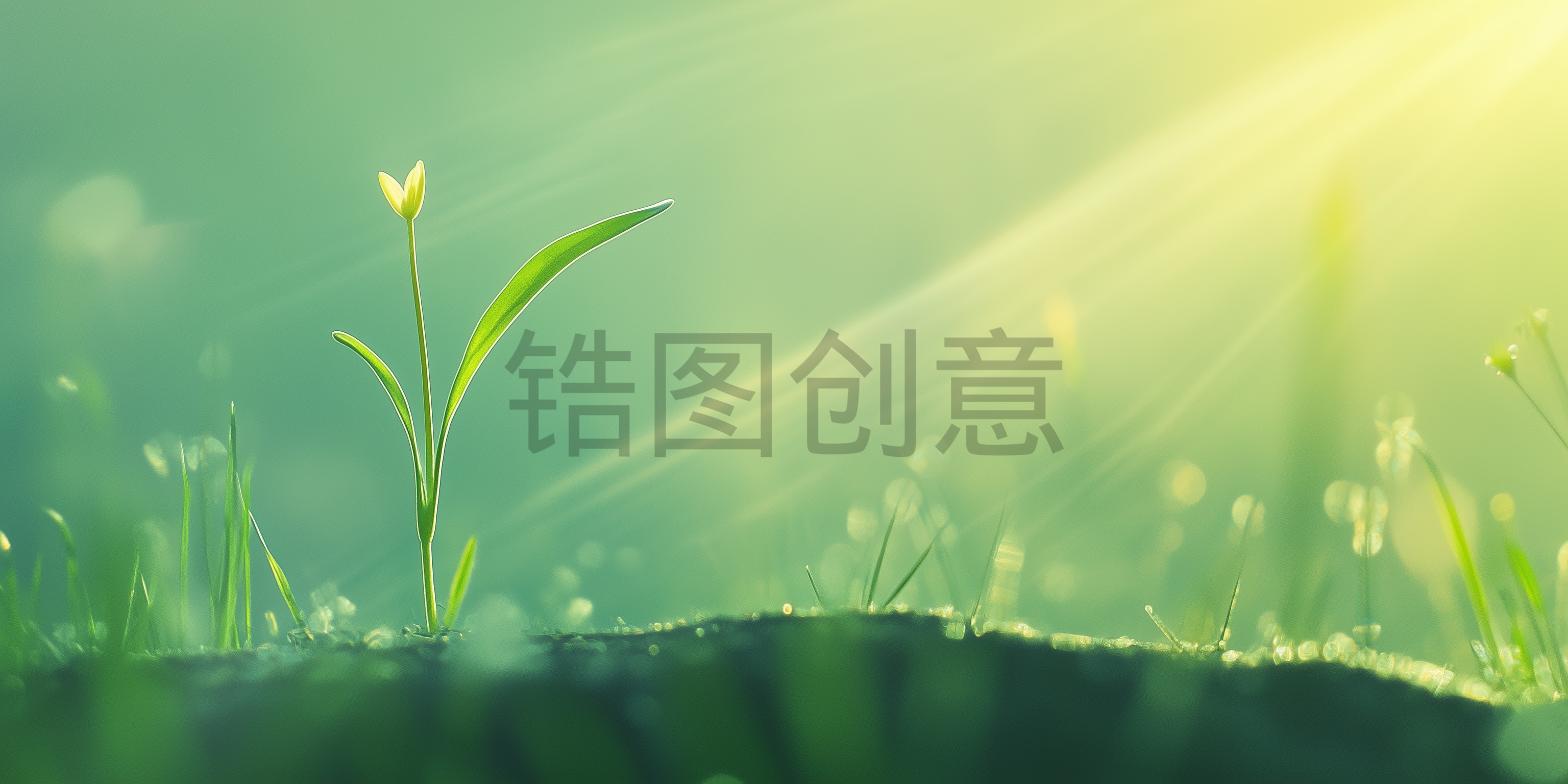 定设网-春天春季实景清新绿色植物发芽背景元素素材