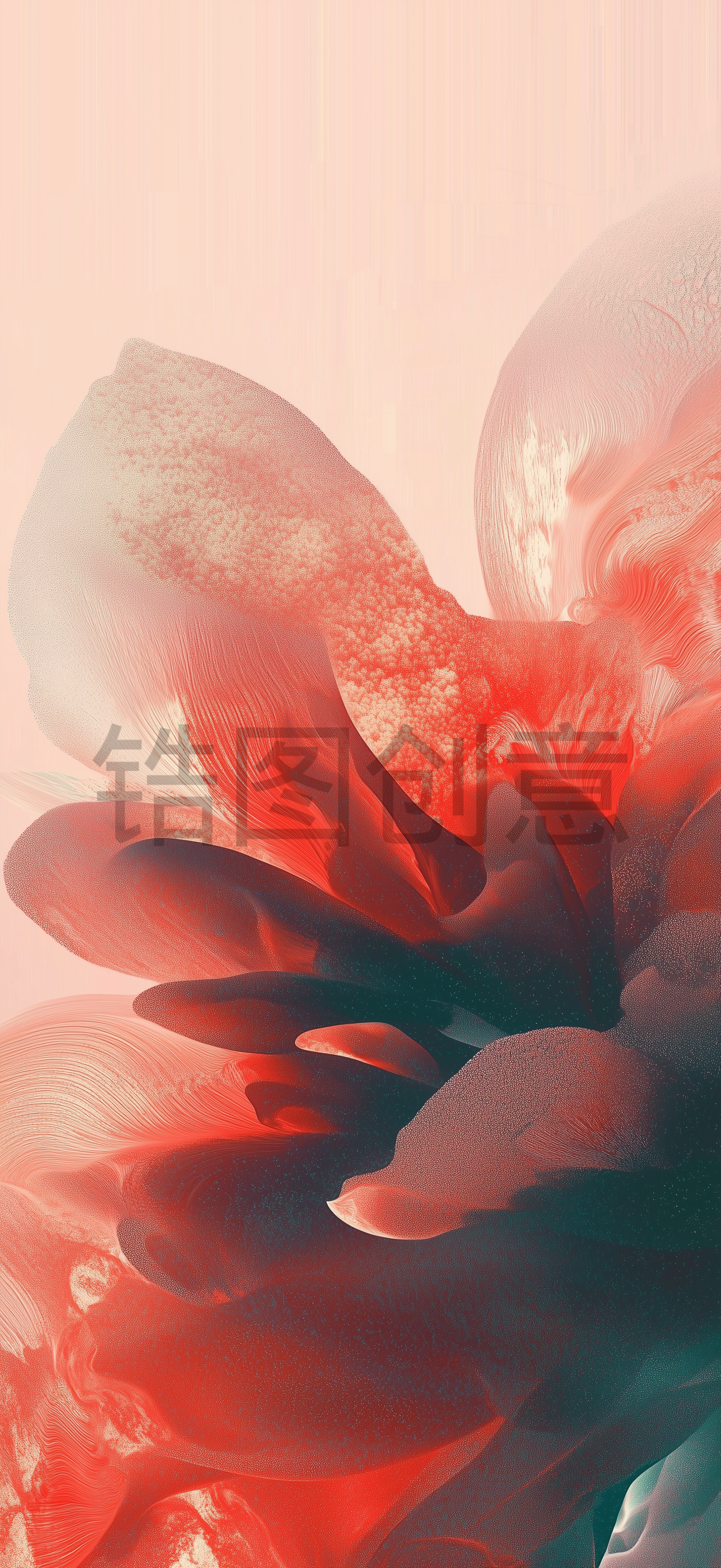 定设网-红色质感抽象花背景