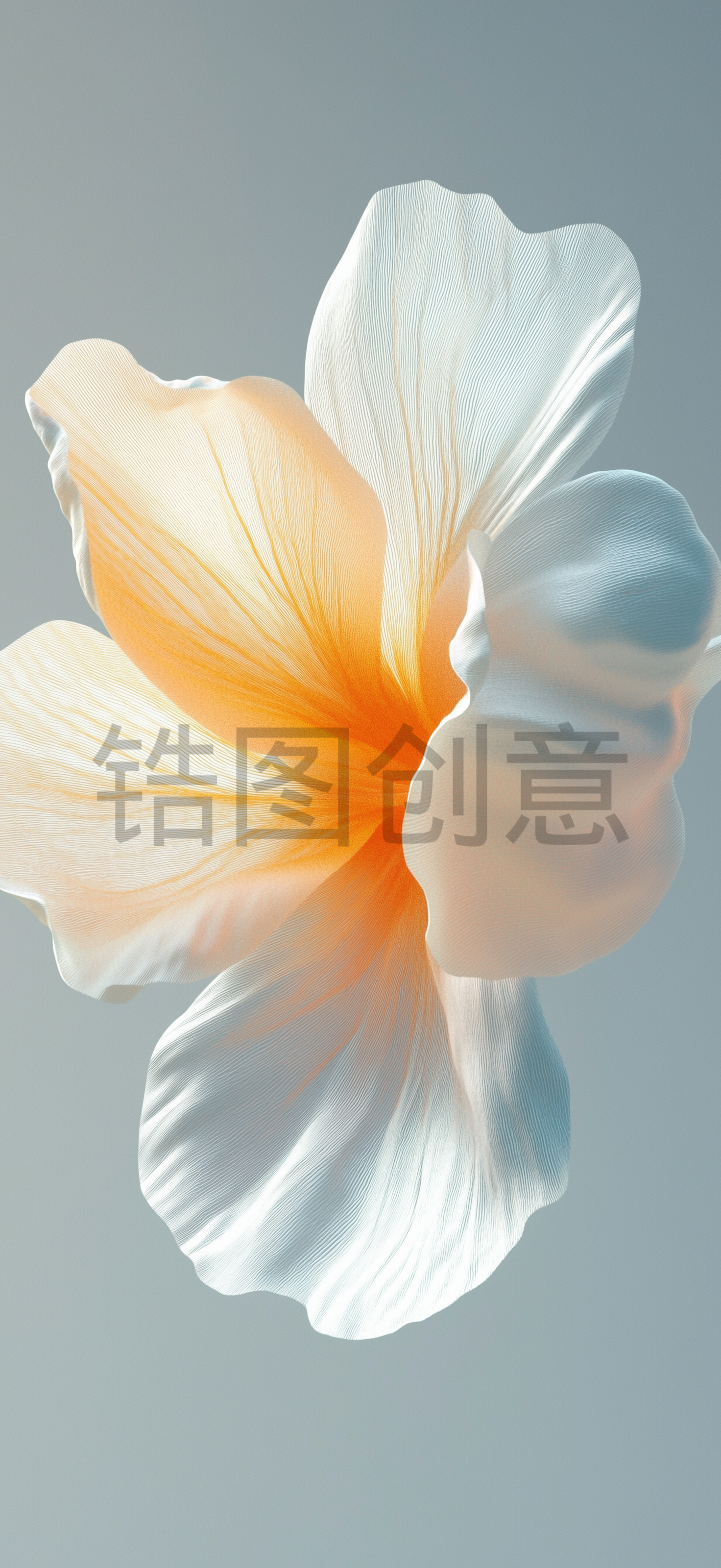 质感花瓣状背景素材