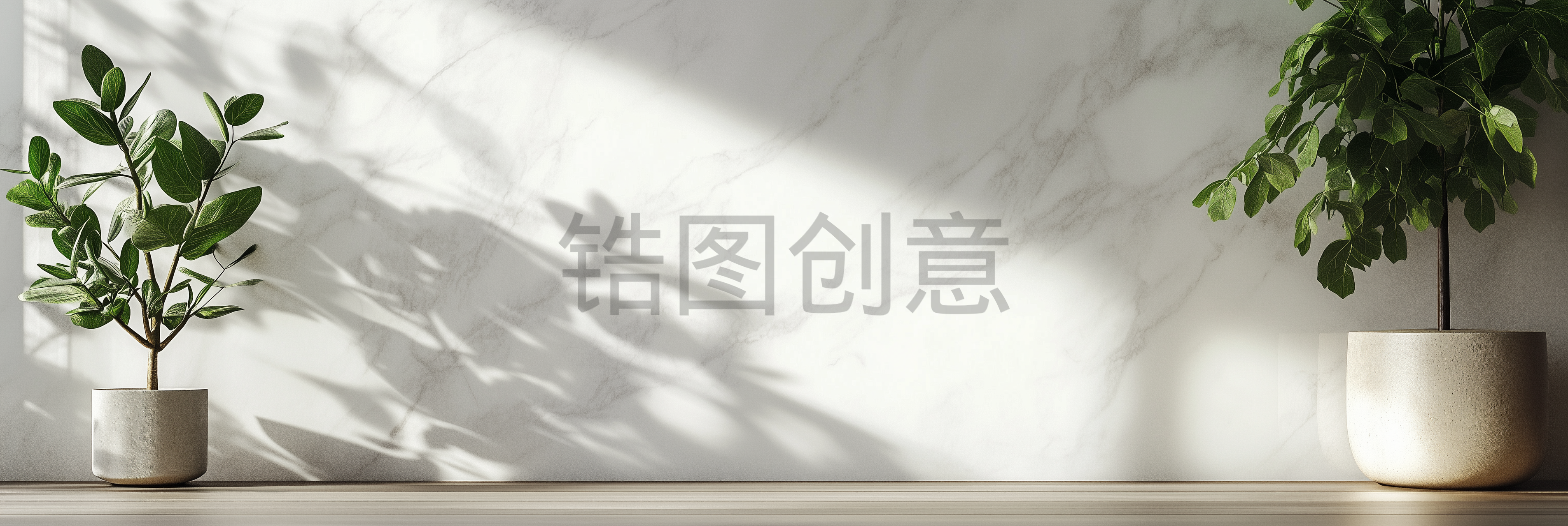 大理石空间背景下绿植