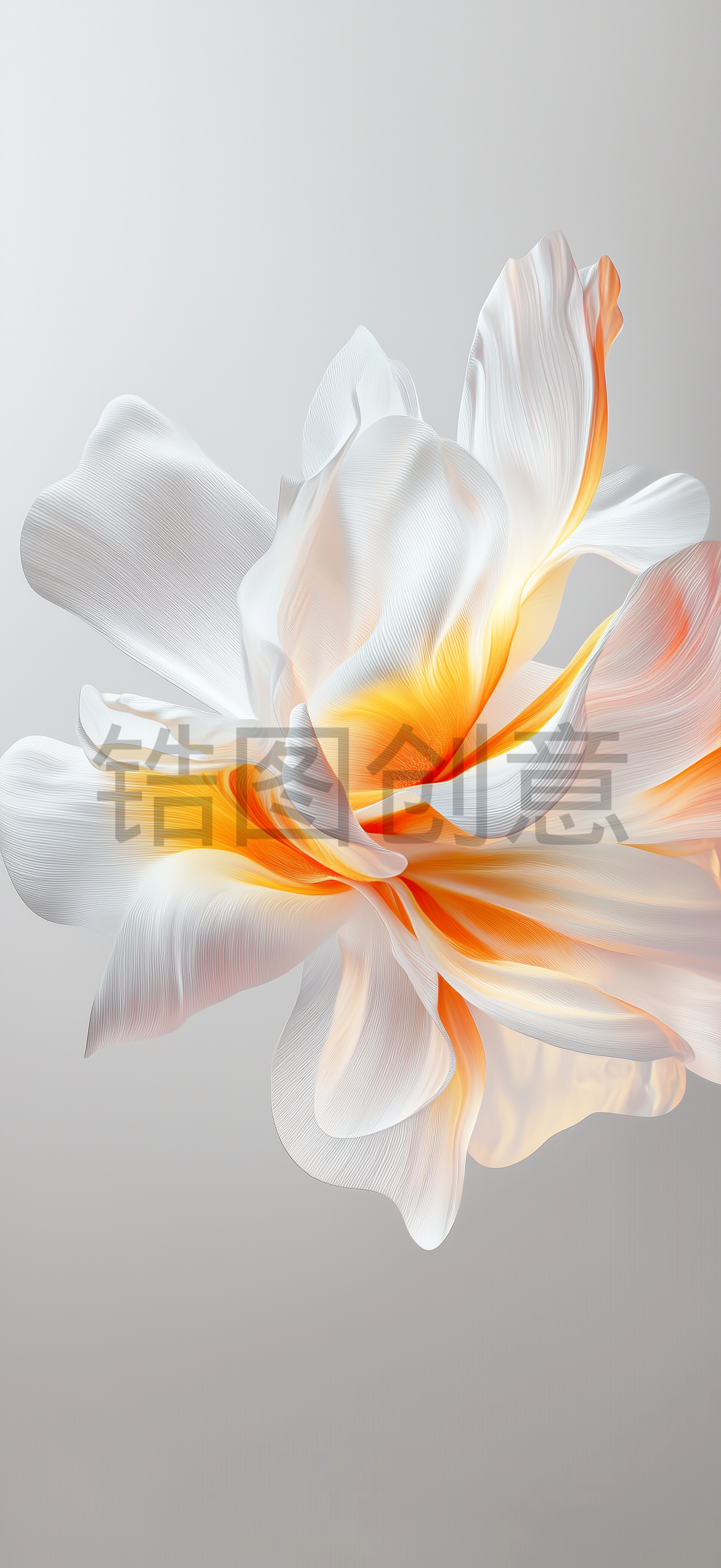 质感花瓣形状背景素材