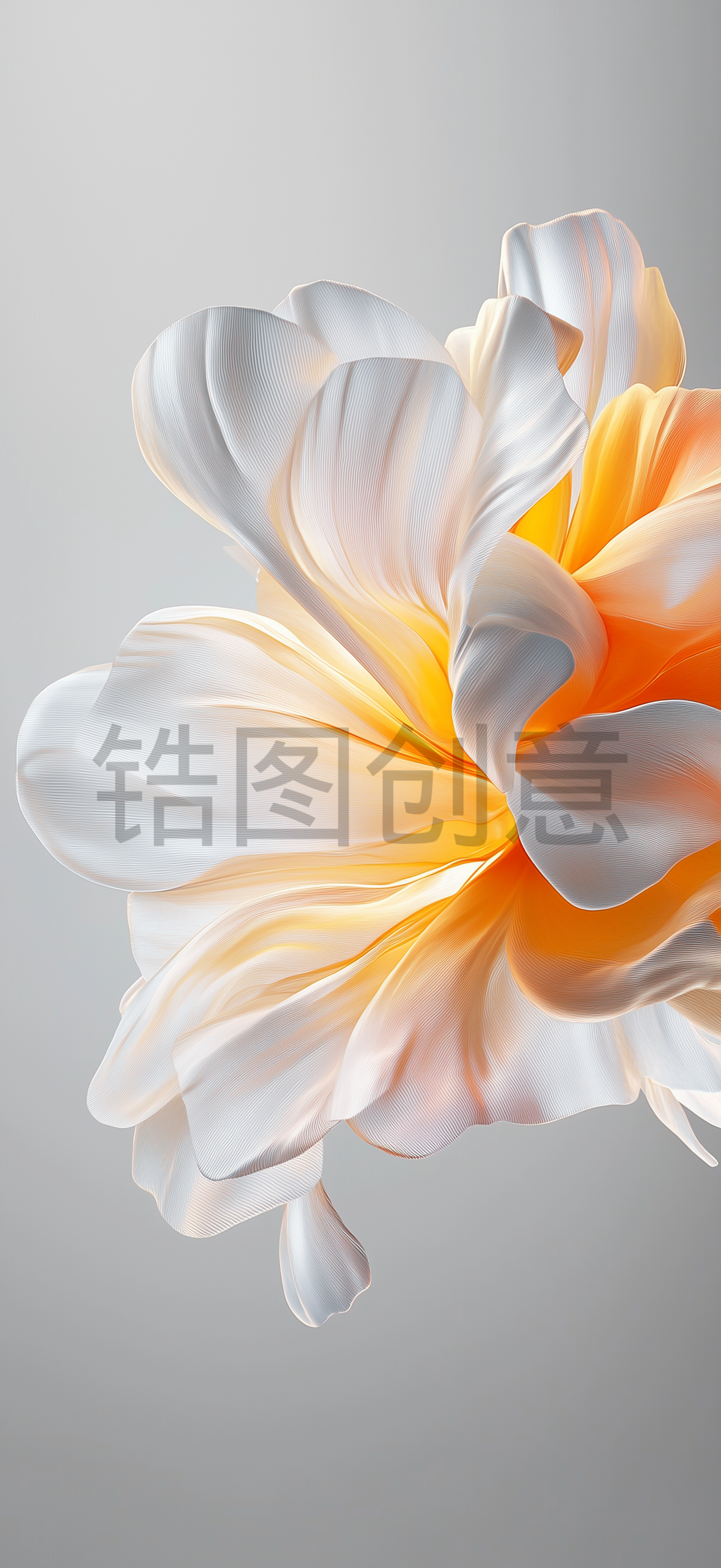 质感花瓣形状背景素材