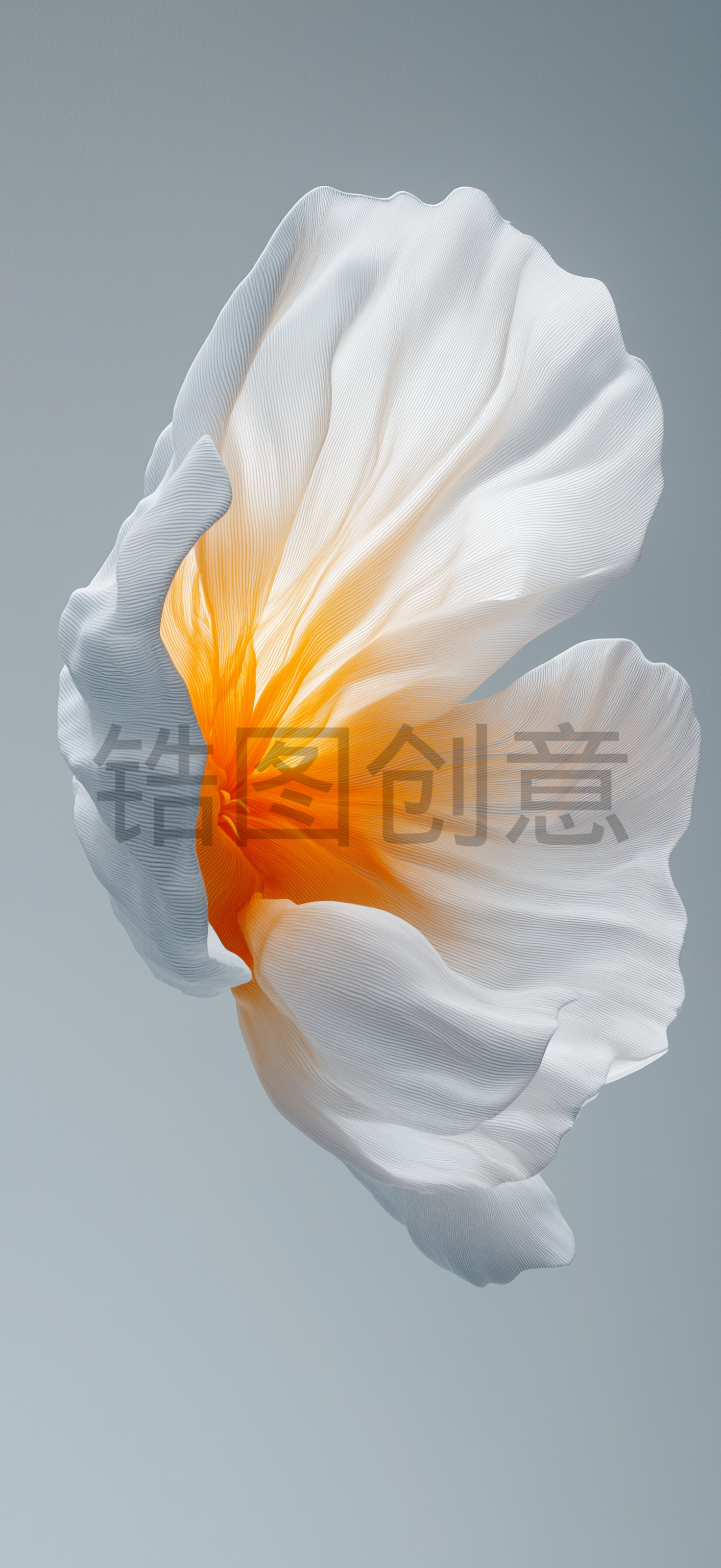 质感花瓣形状背景素材