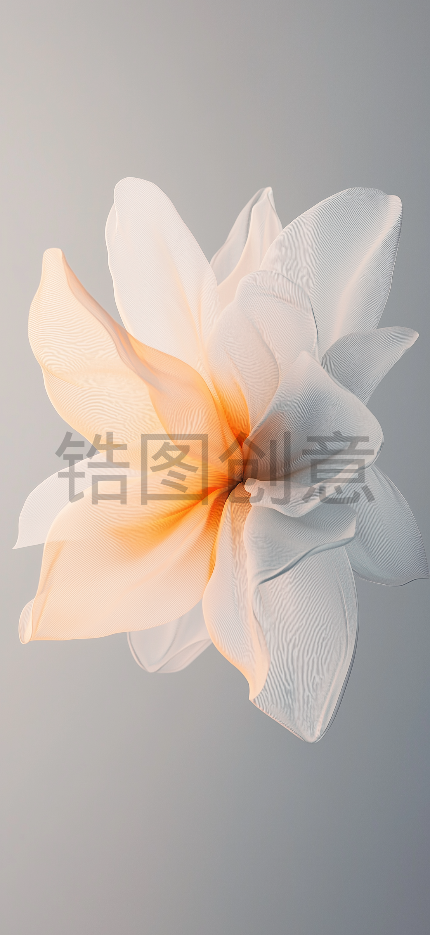 质感花瓣状背景素材