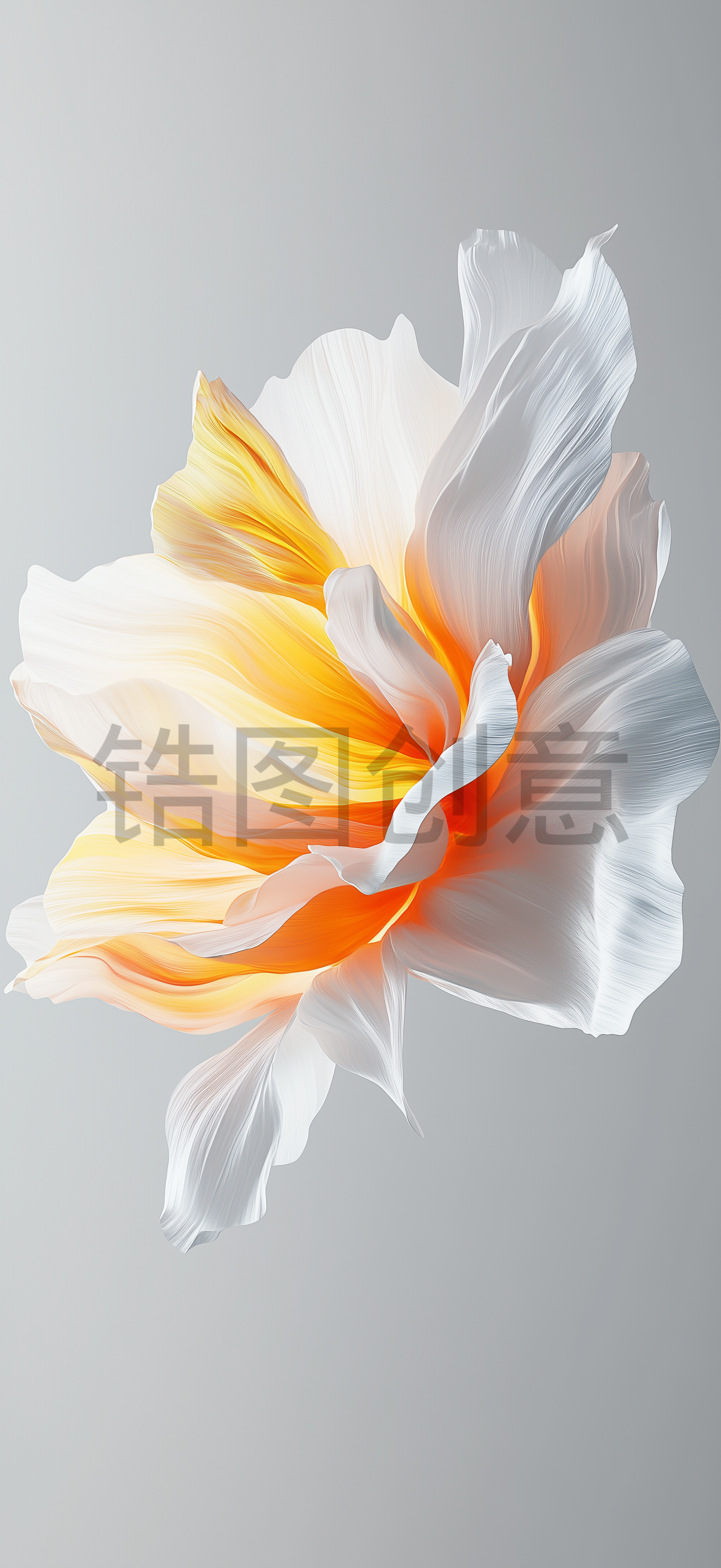 质感花瓣形状背景素材