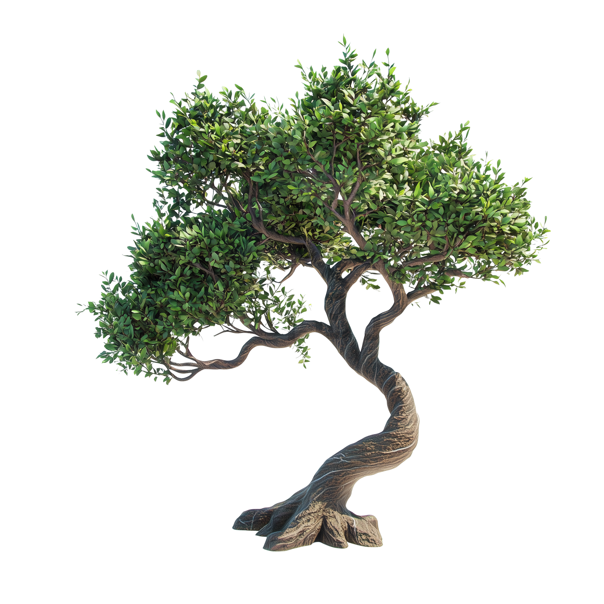 观赏树木绿色植物免扣png元素