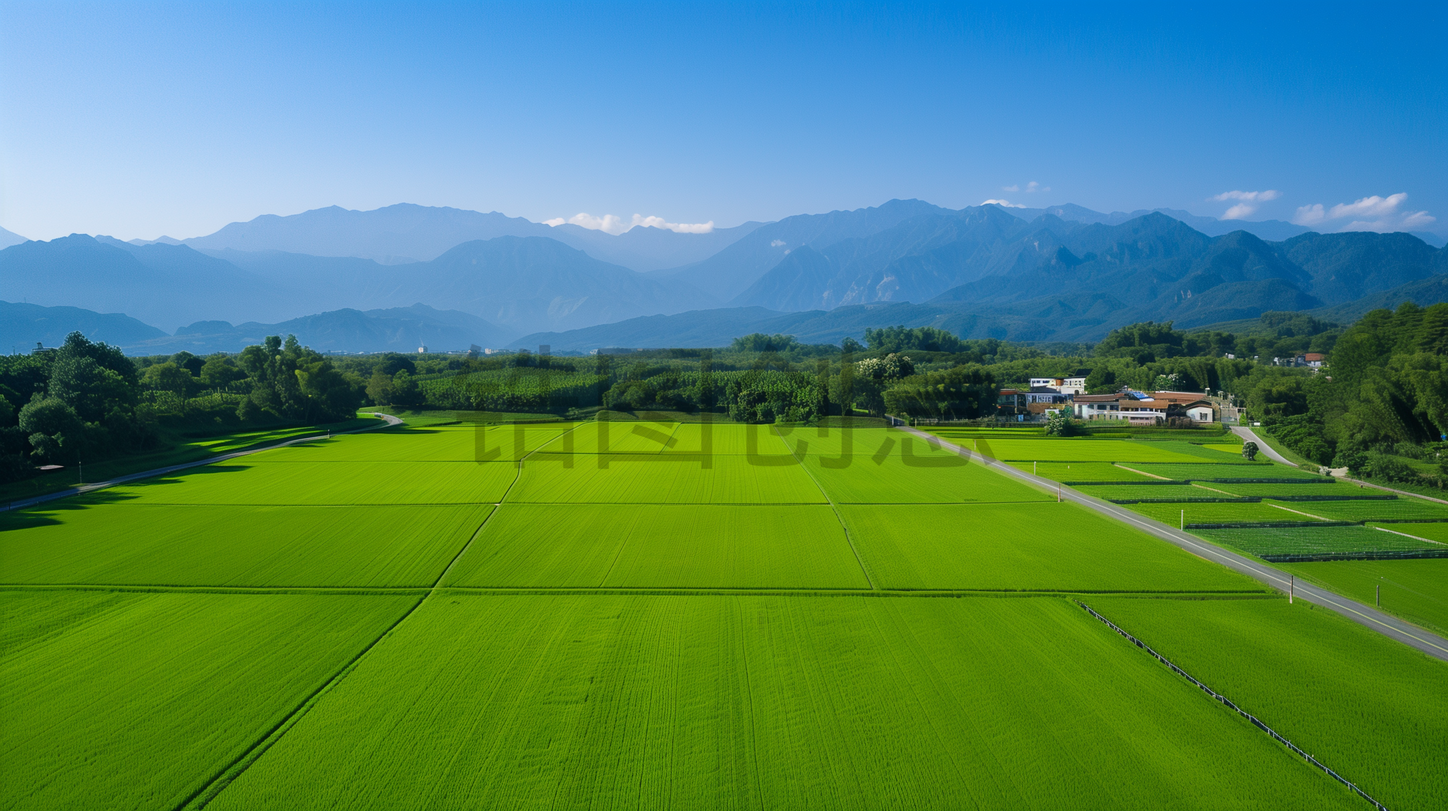自然风光乡村绿色稻田山川空中航拍视图素材