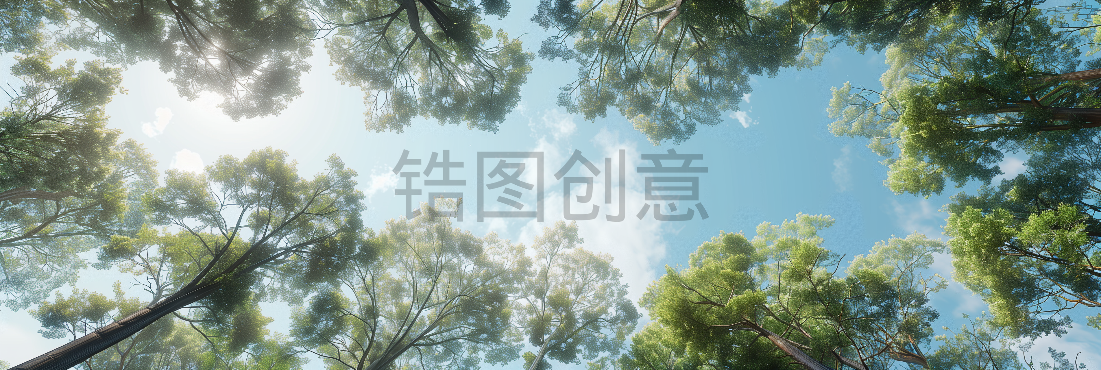 植物实景俯视森林树林场景背景图片