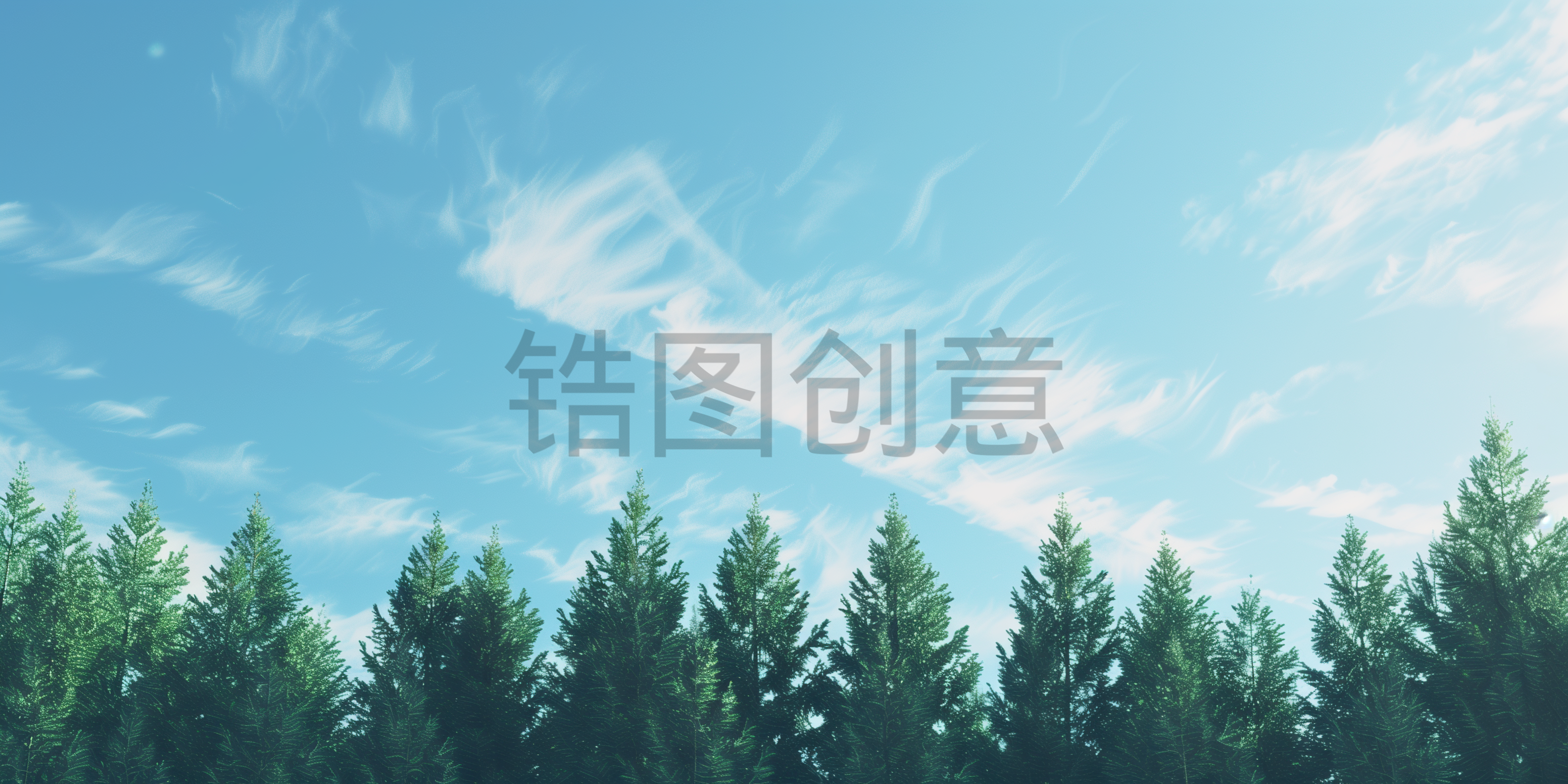 植物实景绿色森林树林场景背景图片