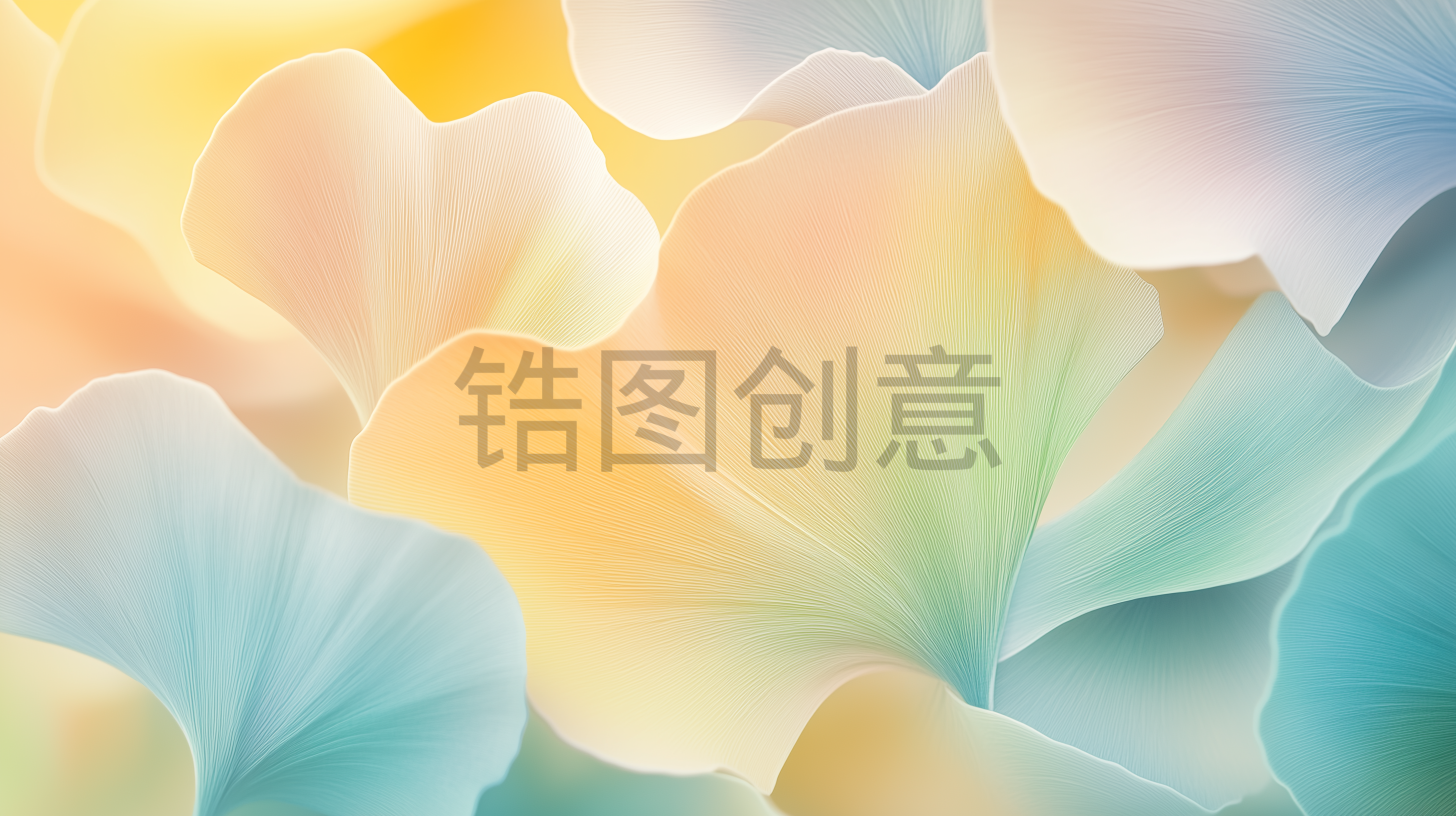 植物银杏叶子平铺彩色背景