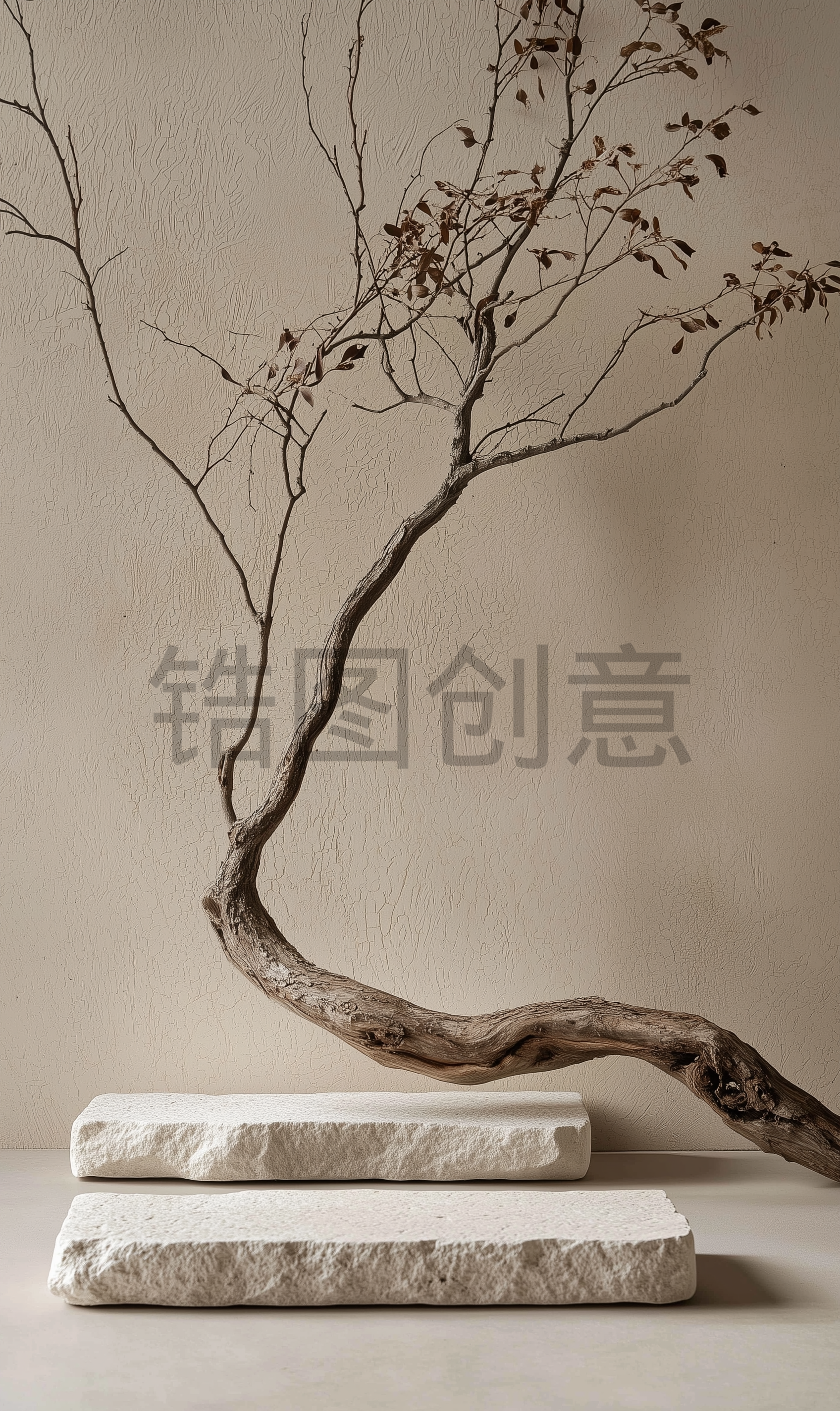 定设网-3D渲染枯树大理石场景电商化妆品产品海报景素材
