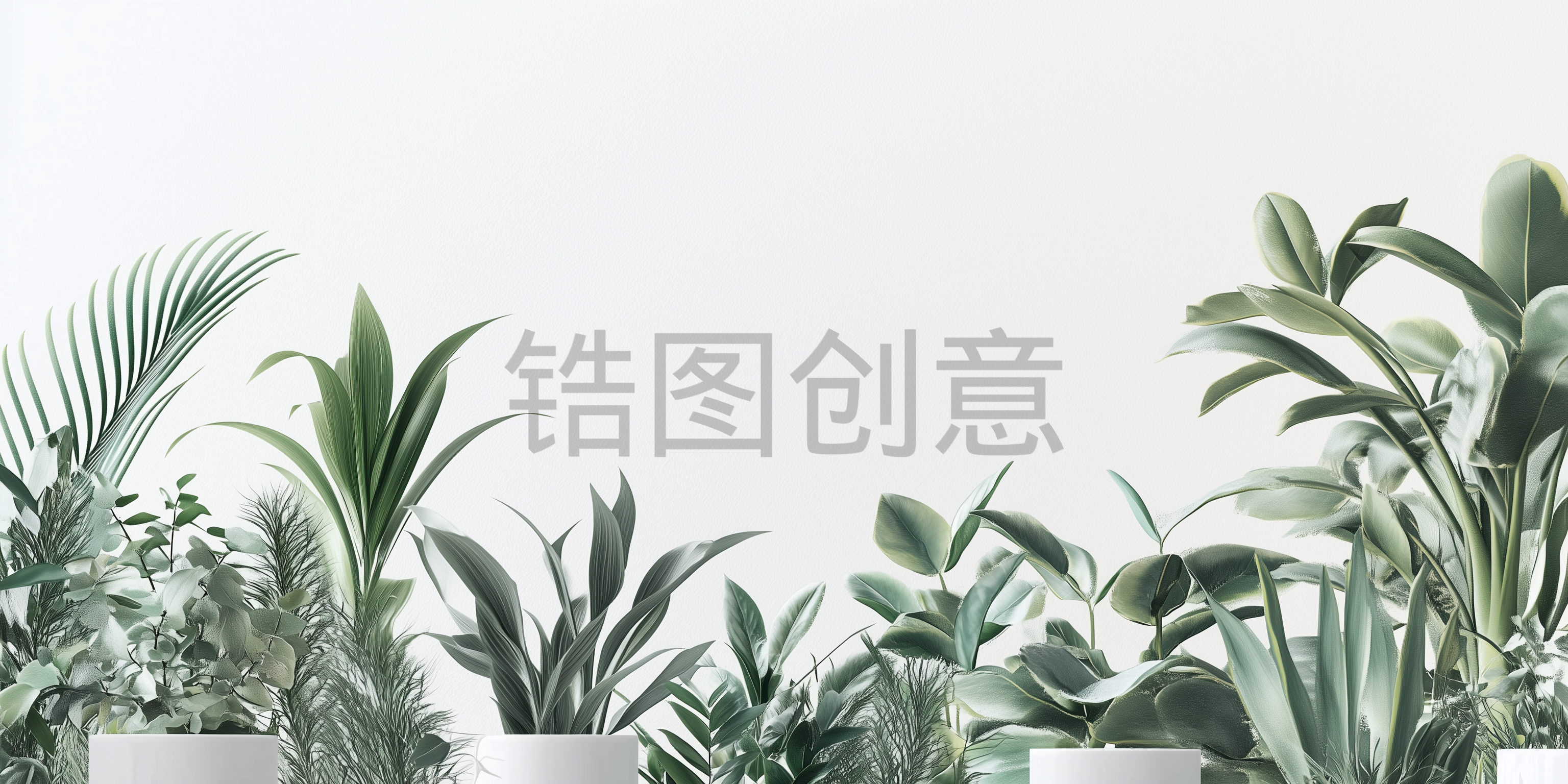 定设网-盆景盆栽绿色植物叶子写实背景
