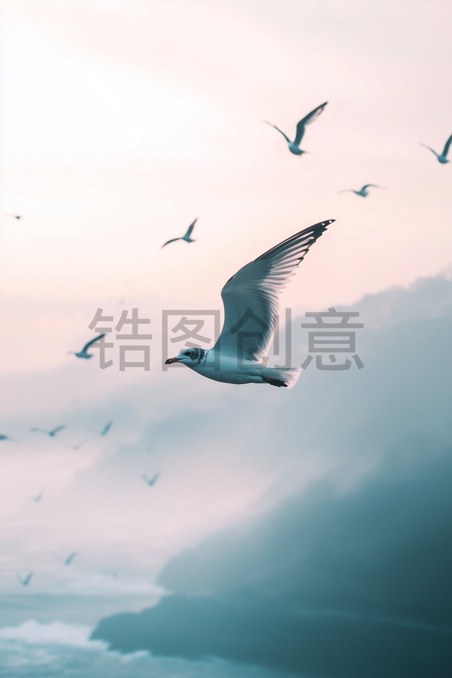 心灵旅途中的冥想乐章
