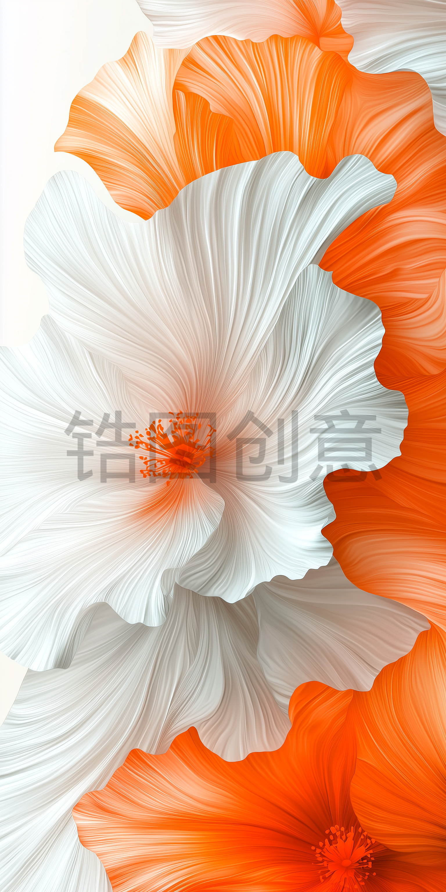 定设网-白色橙色花形状抽象背景