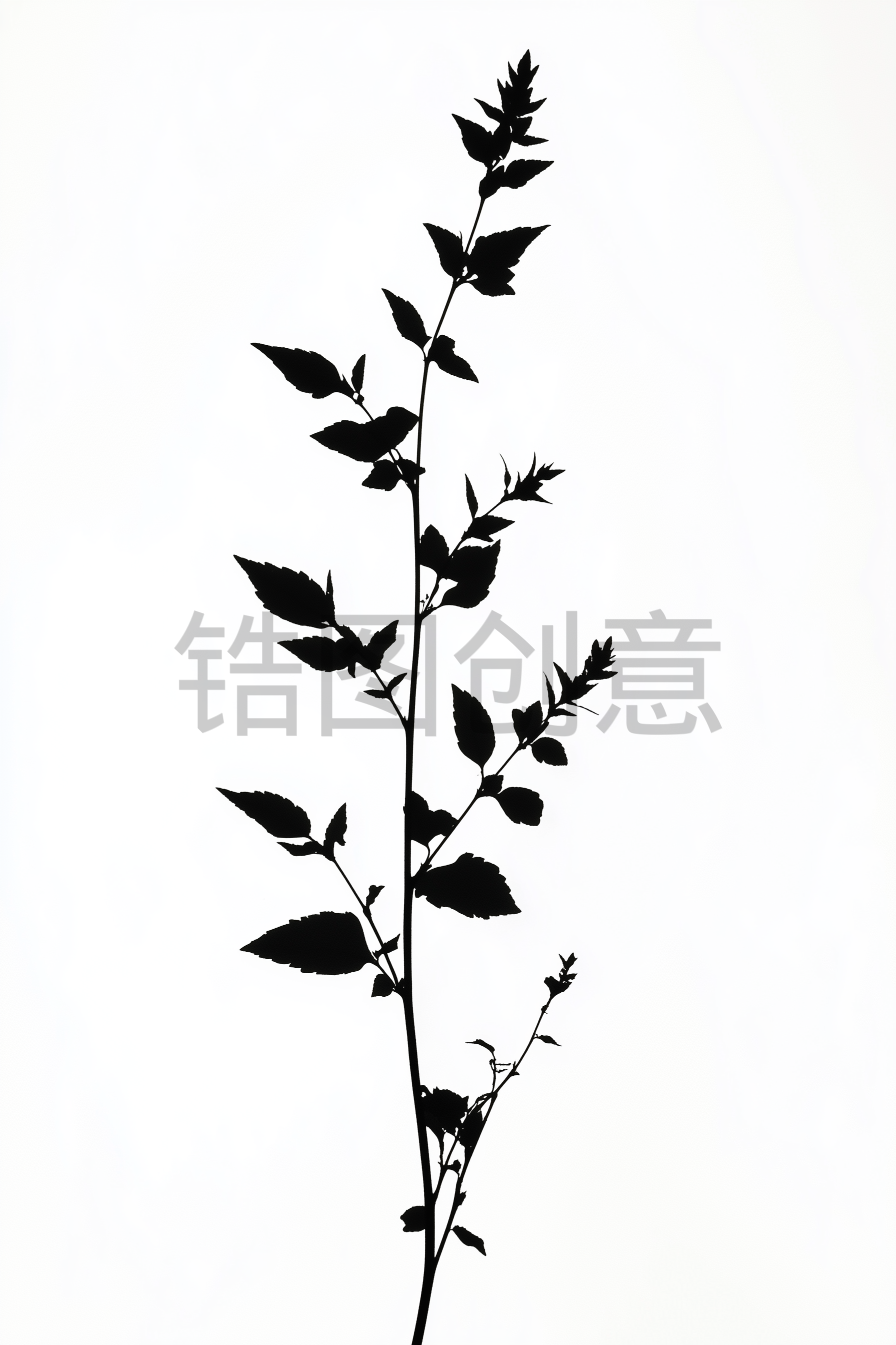 定设网-植物花枝剪影元素