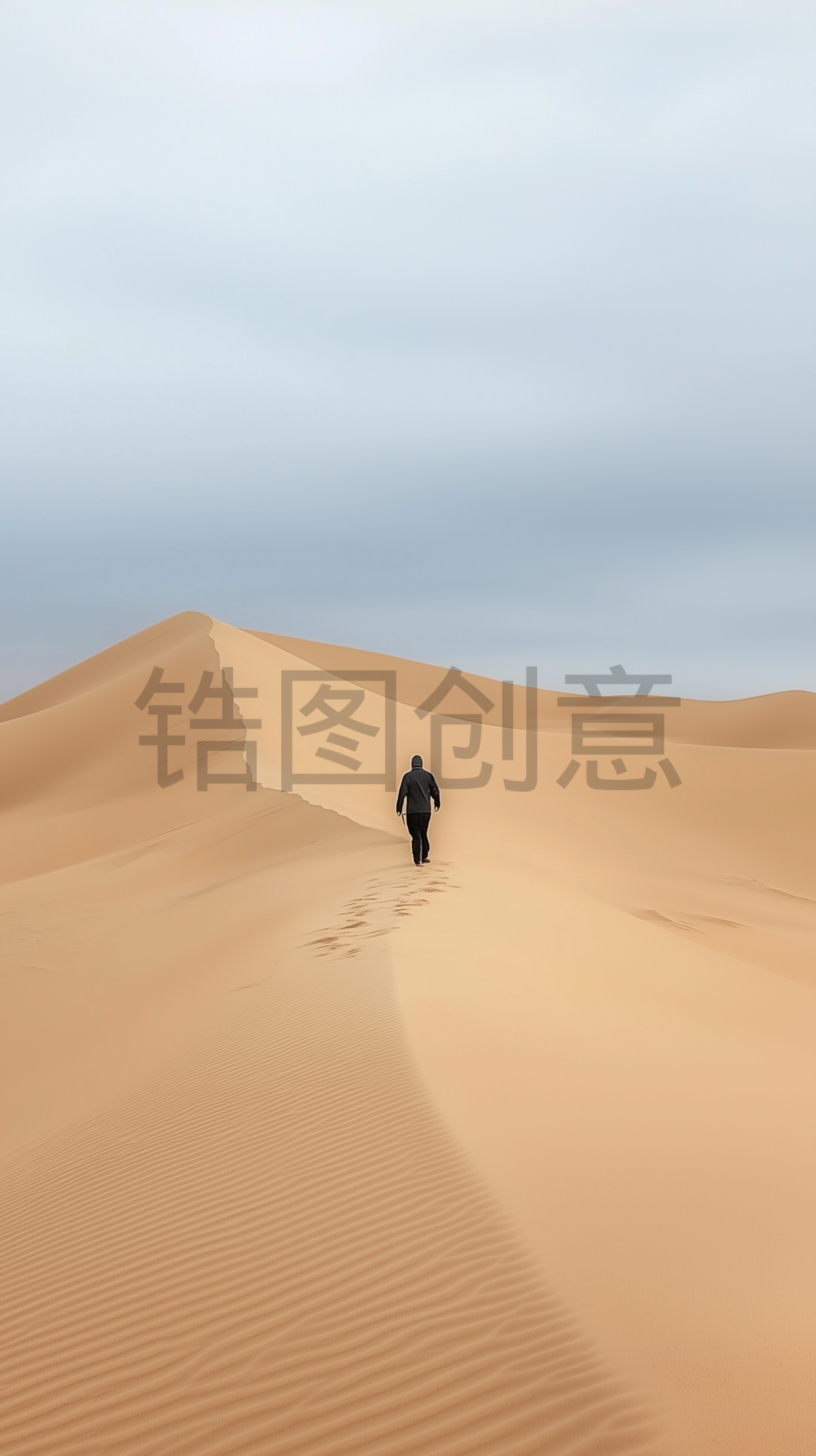 定设网-沙漠骆人物背景素材