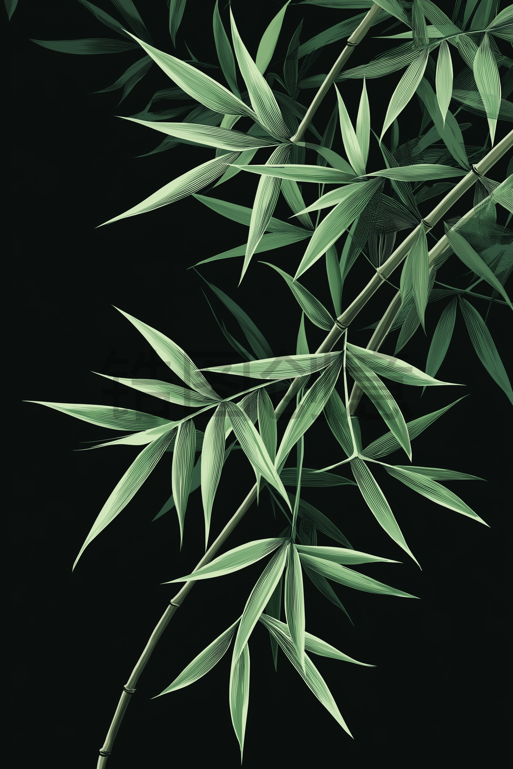定设网-植物竹子竹叶元素素材
