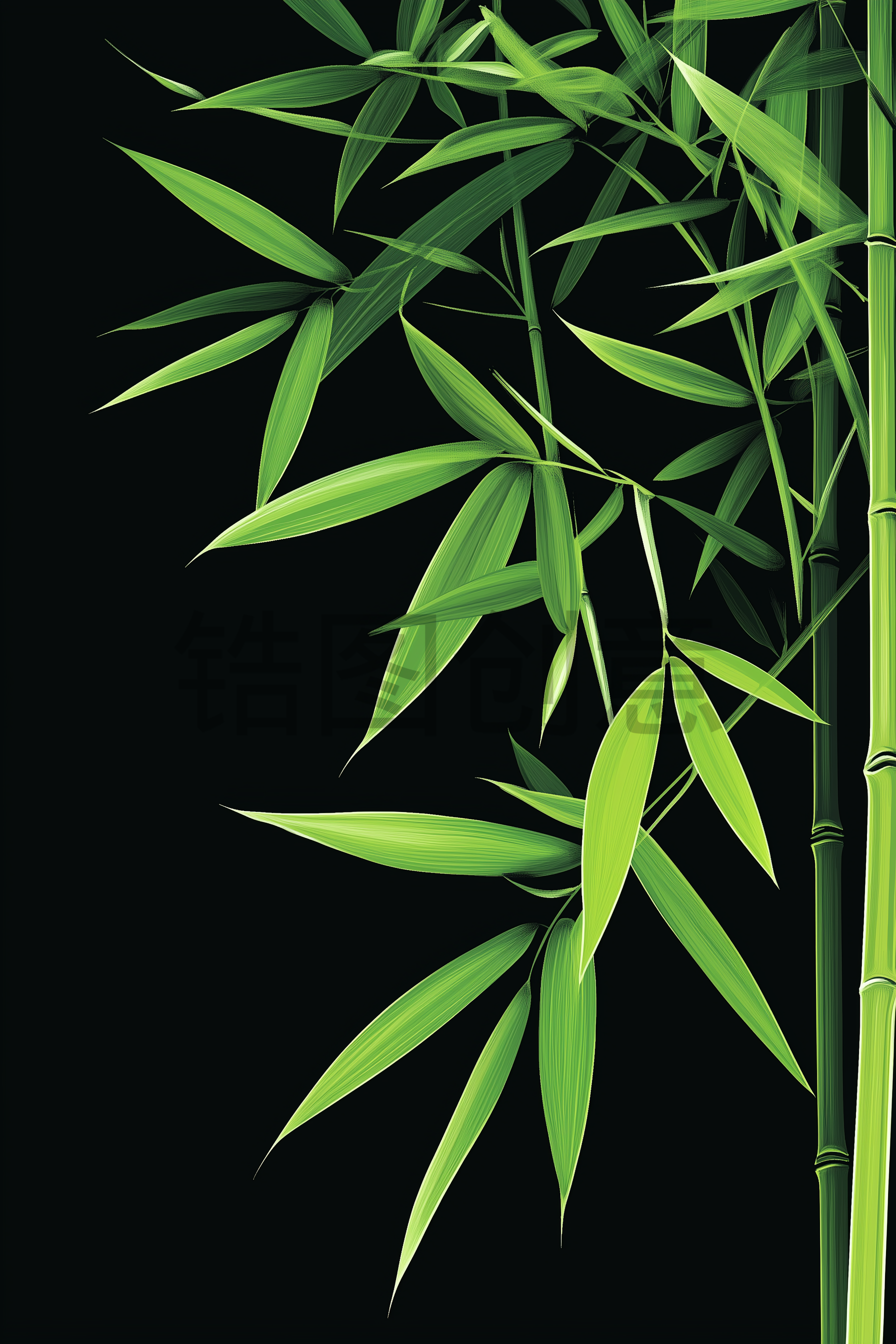 定设网-植物枝叶竹子竹叶元素素材