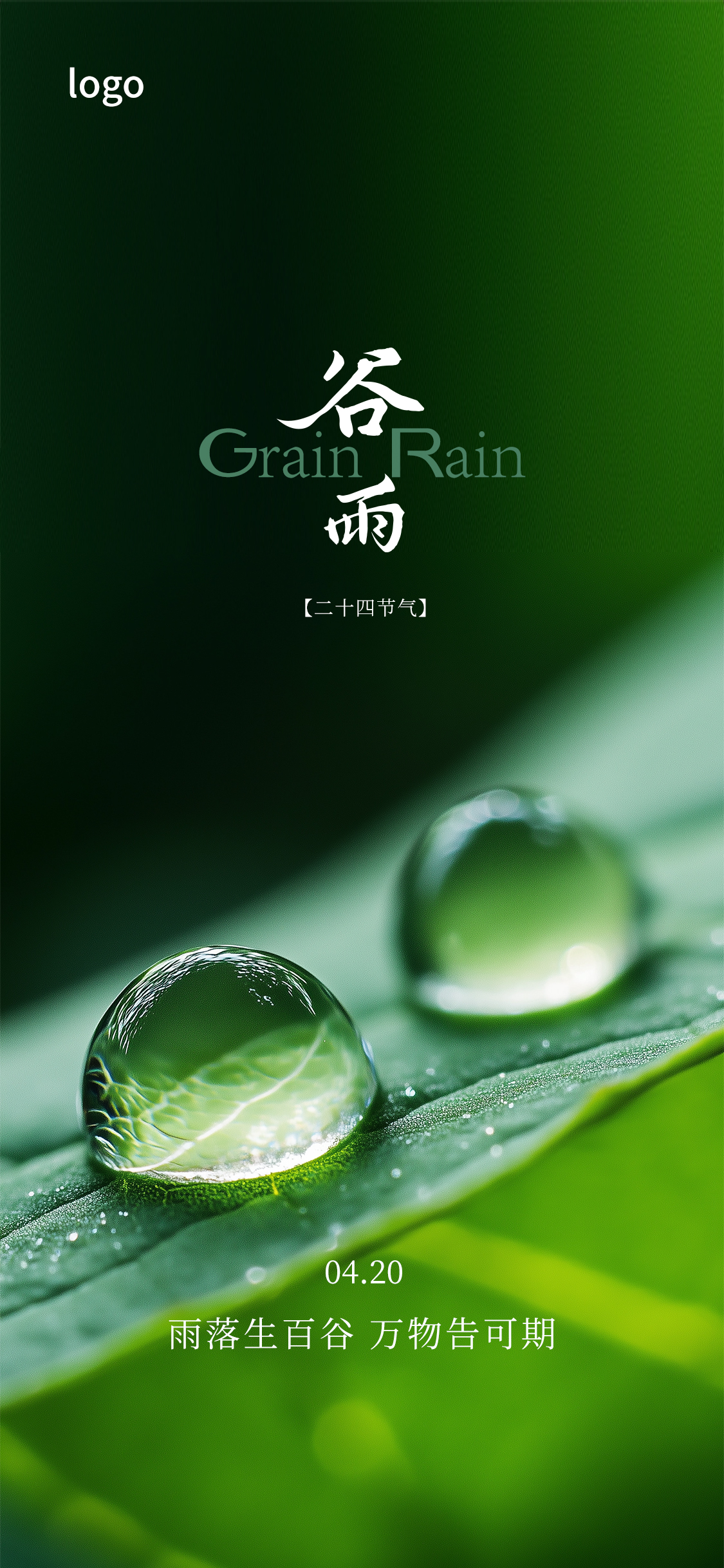 定设网-写实谷雨雨水节气海报
