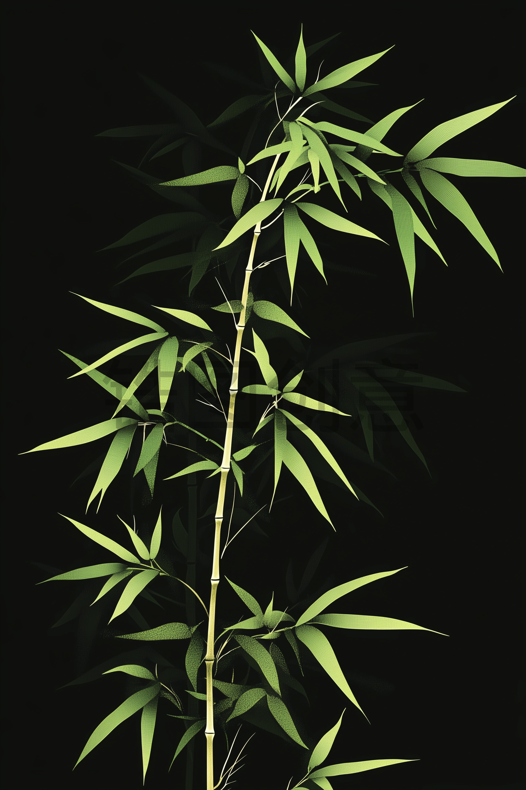 定设网-植物枝叶竹子竹叶元素背景