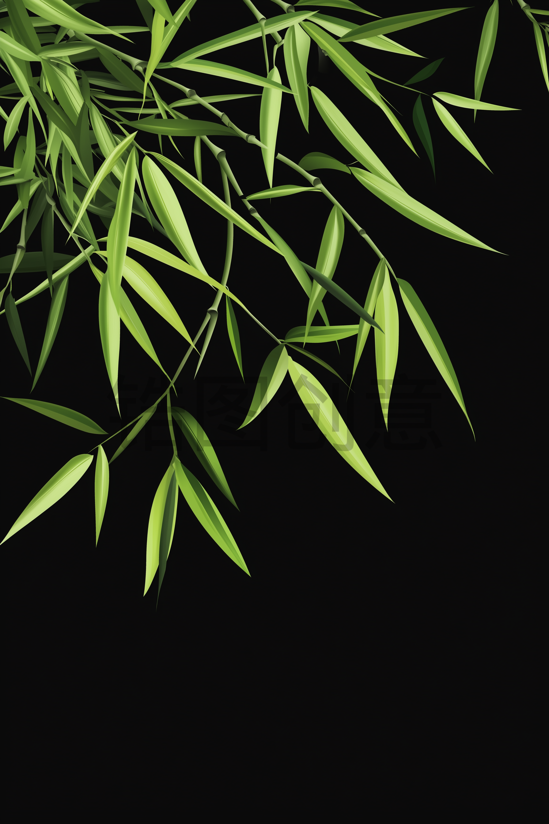定设网-植物竹子竹叶元素素材