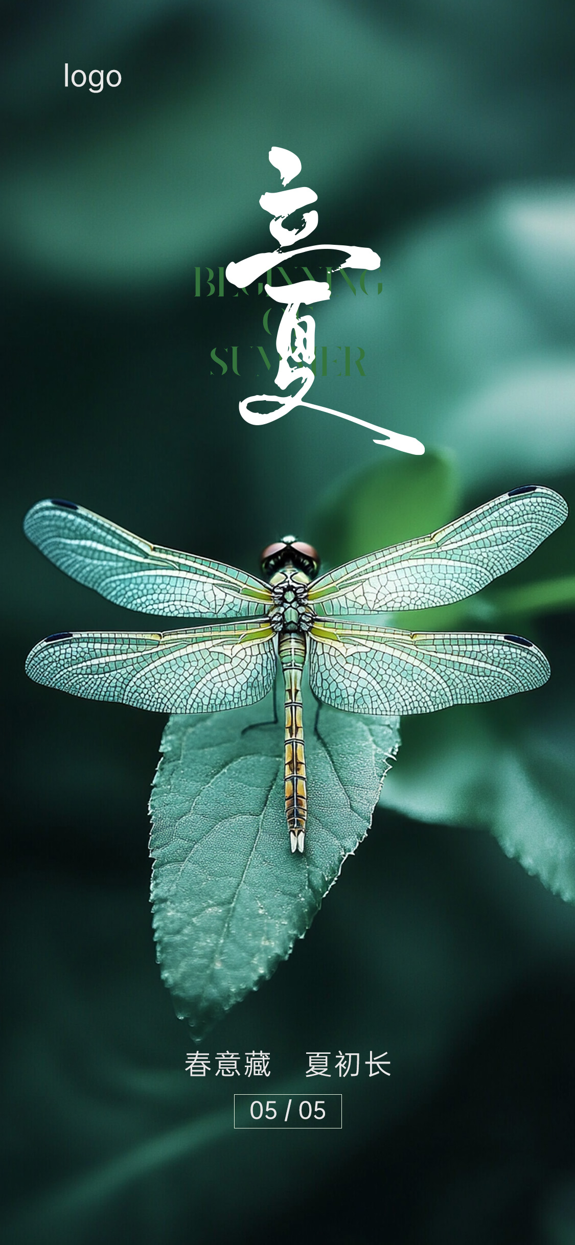 定设网-立夏夏至节气海报