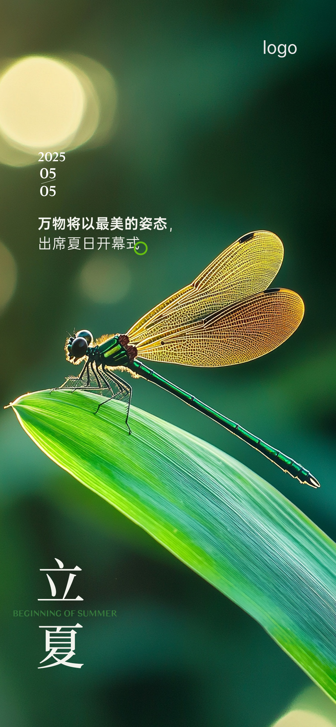 定设网-立夏夏至夏日节气海报