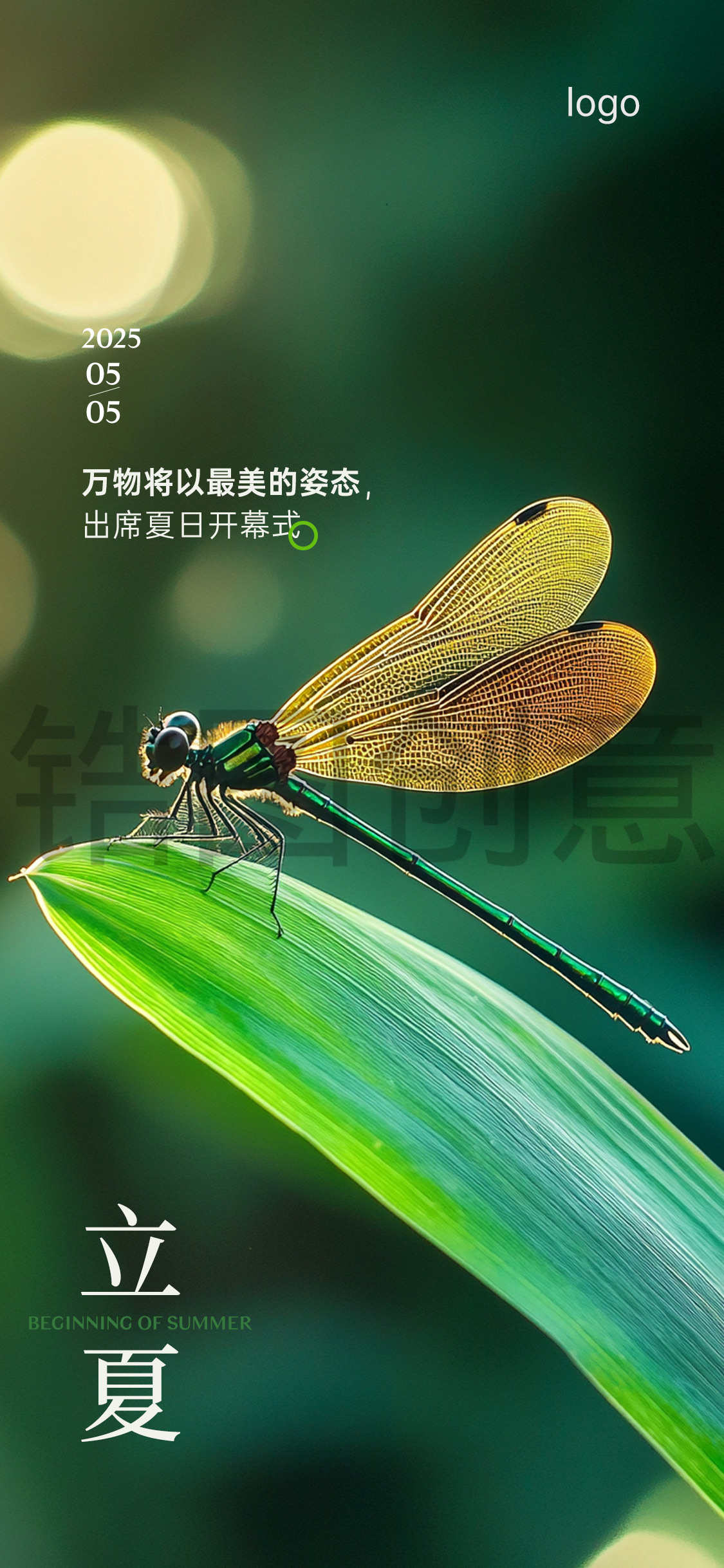 定设网-立夏夏至夏日节气海报