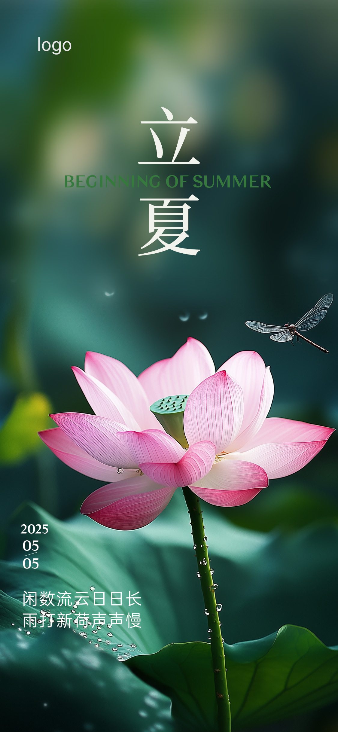 定设网-立夏夏至节气海报