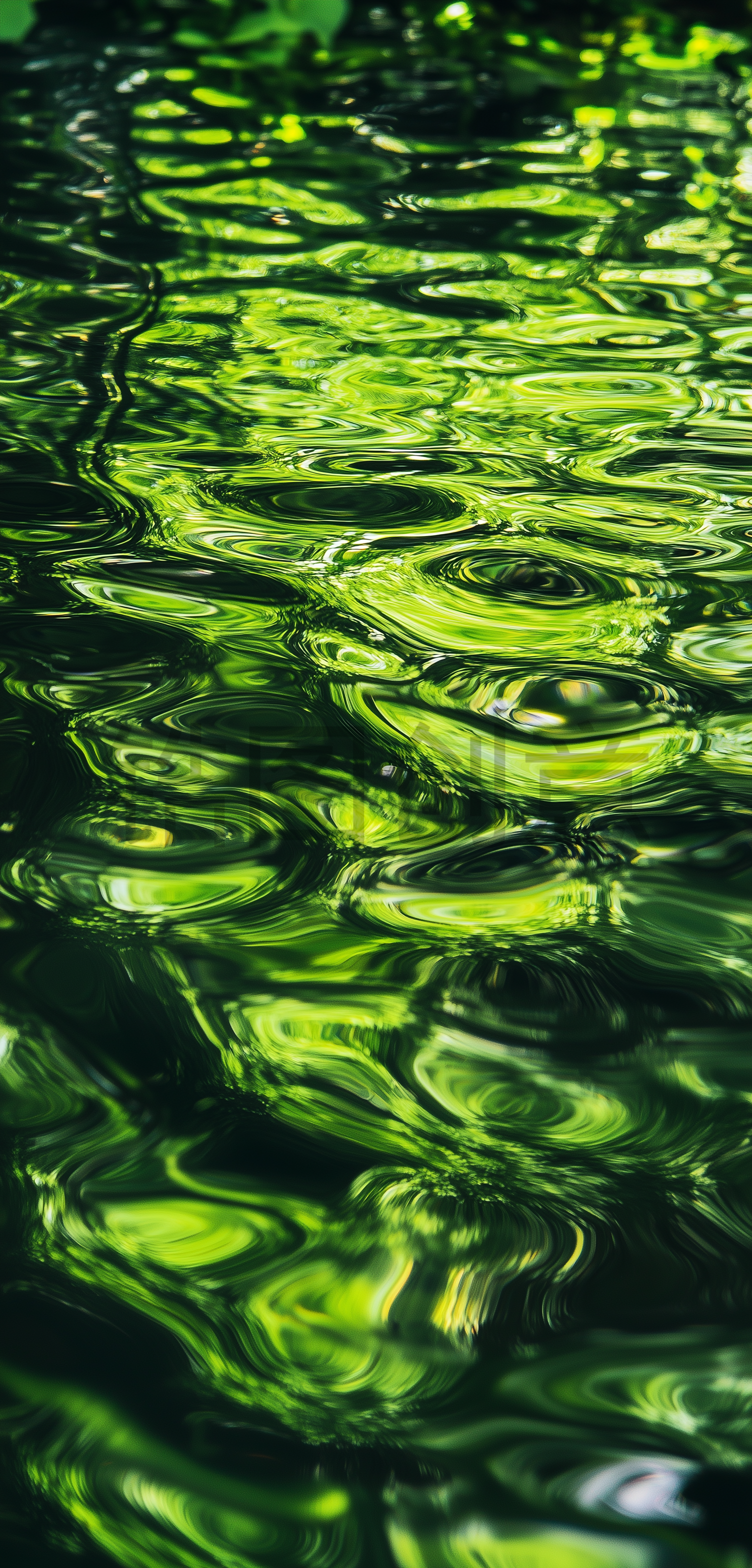 定设网-绿色水纹波纹波浪纹理背景