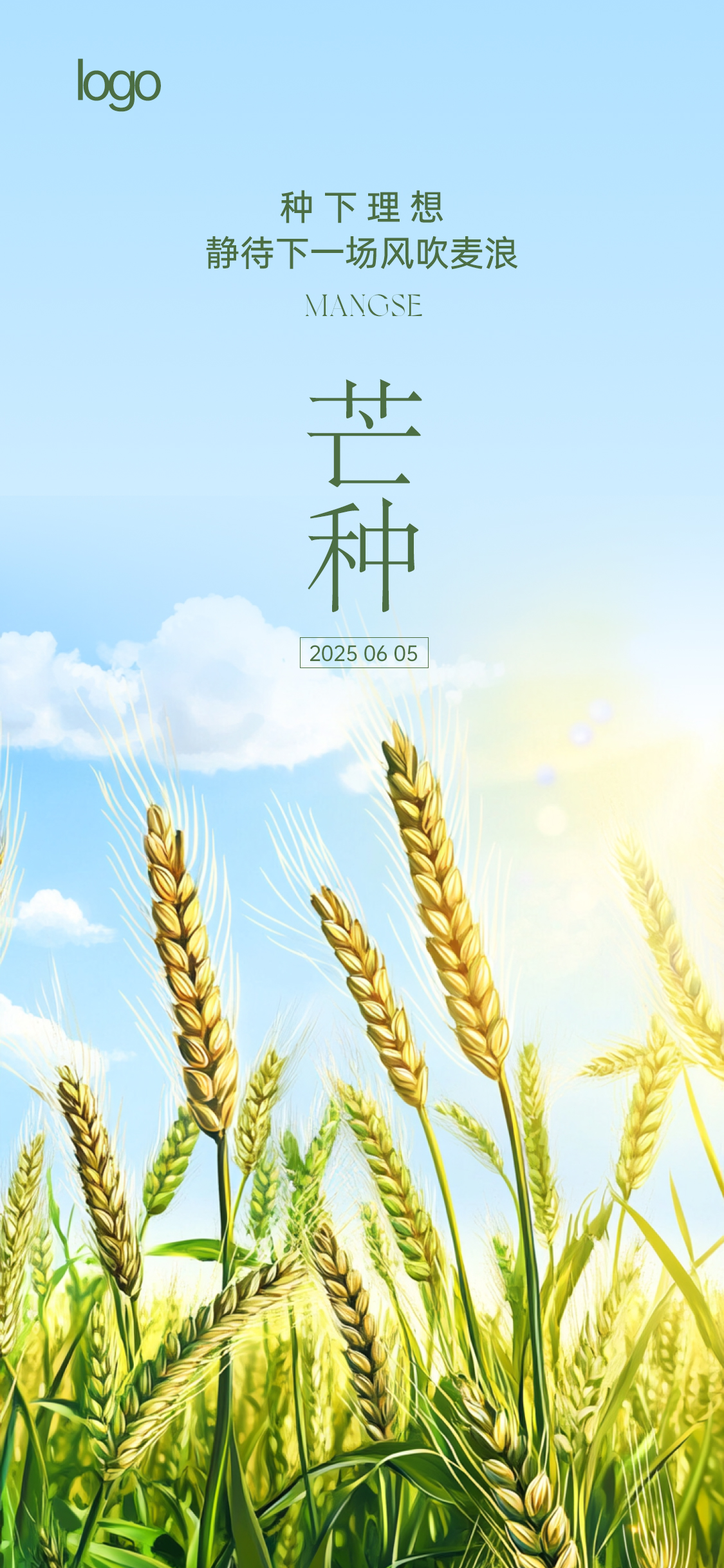 定设网-芒种小满节气海报