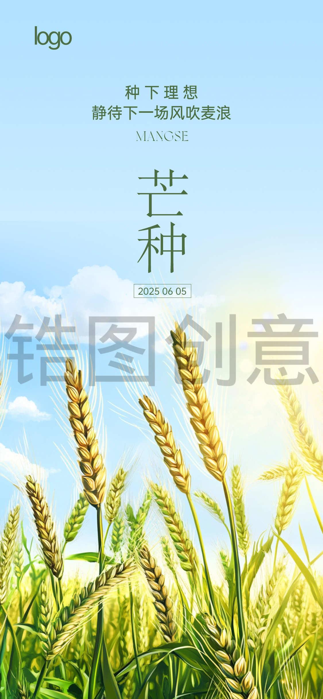 定设网-芒种小满节气海报