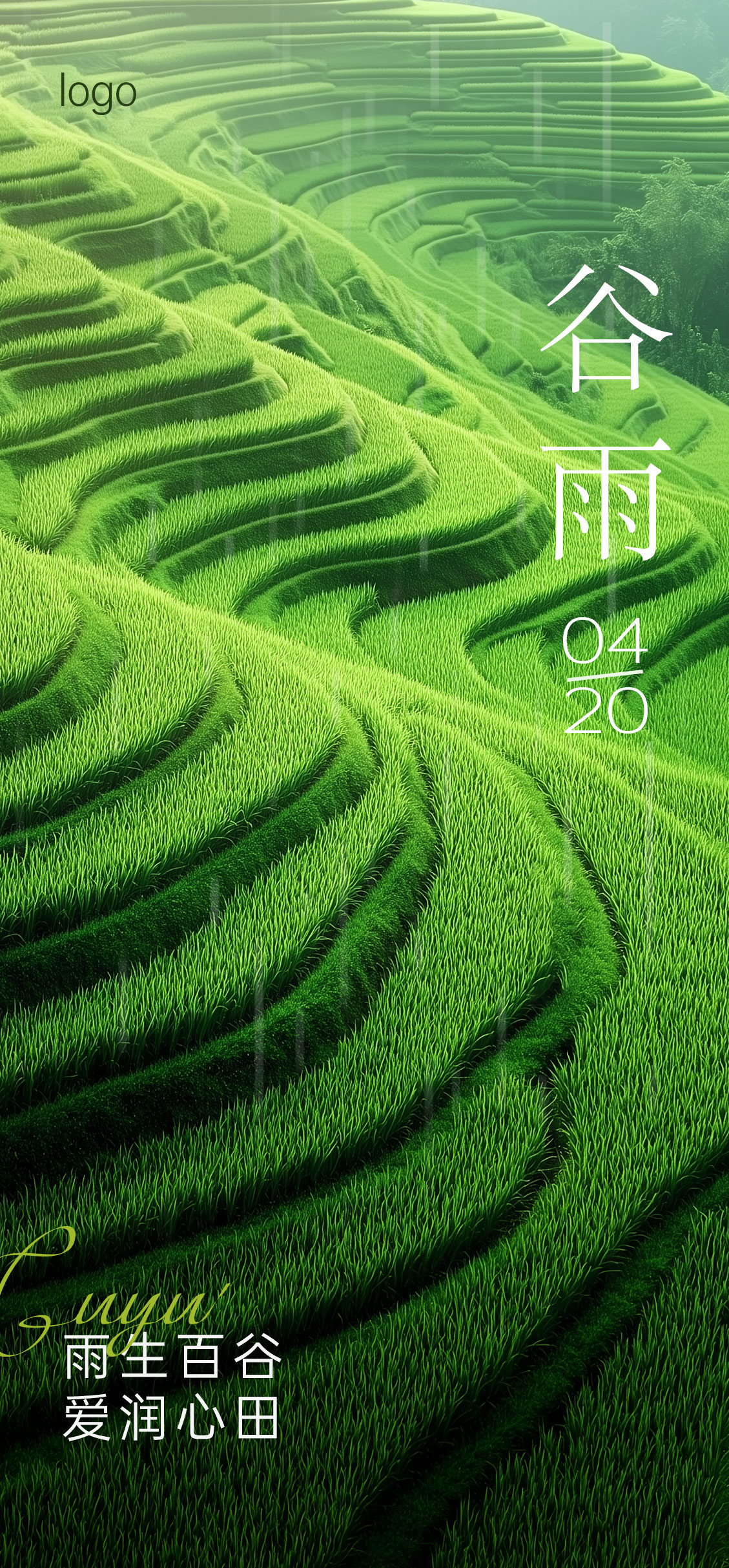 定设网-谷雨雨水节气海报