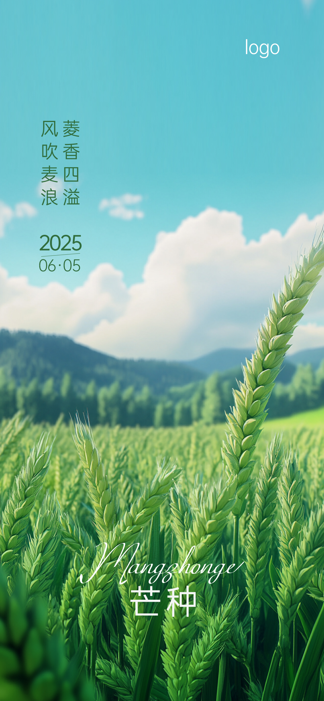 定设网-麦穗芒种小满节气海报