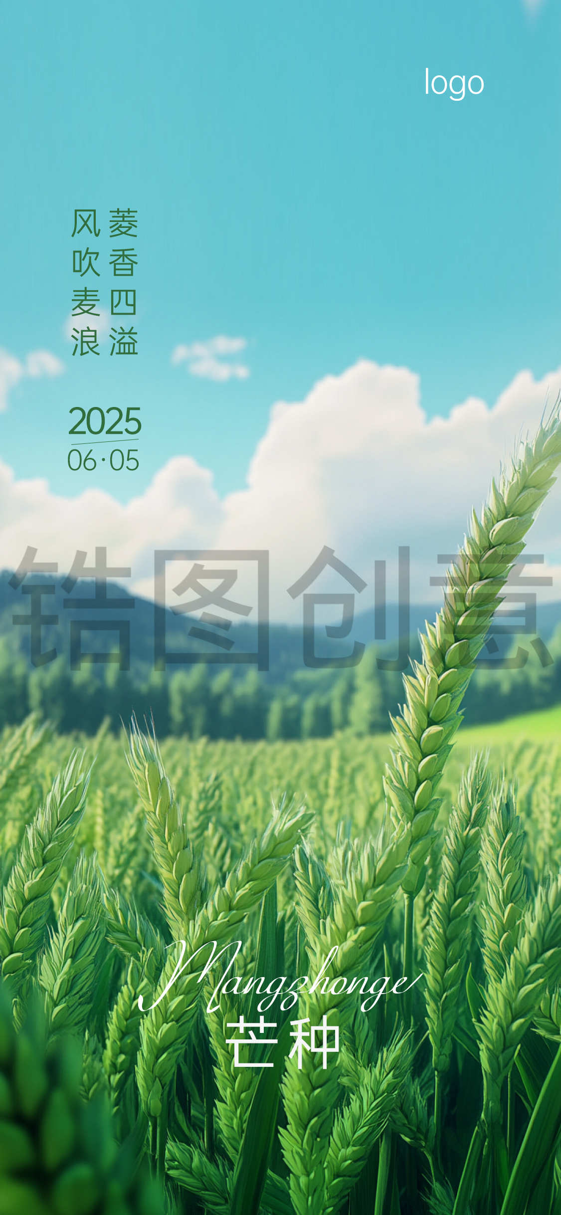 定设网-麦穗芒种小满节气海报