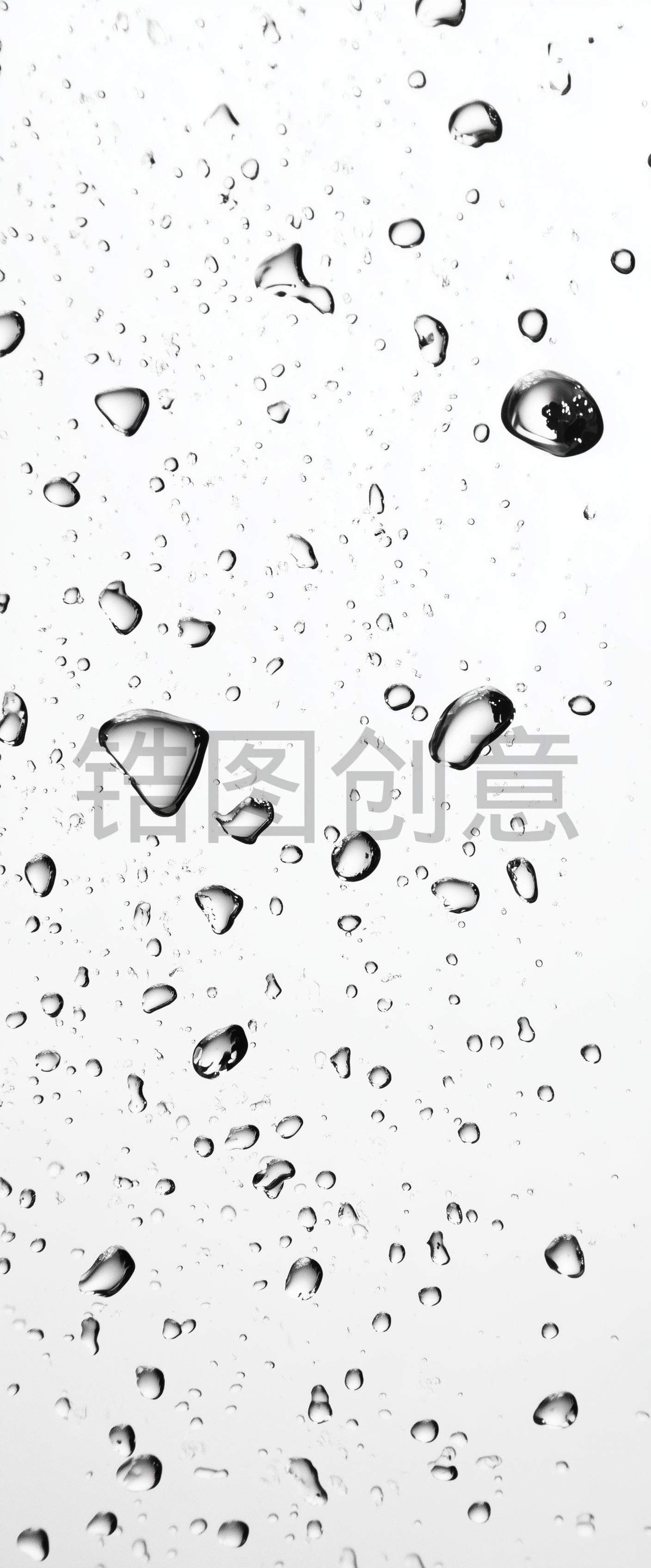 水滴水珠露珠背景