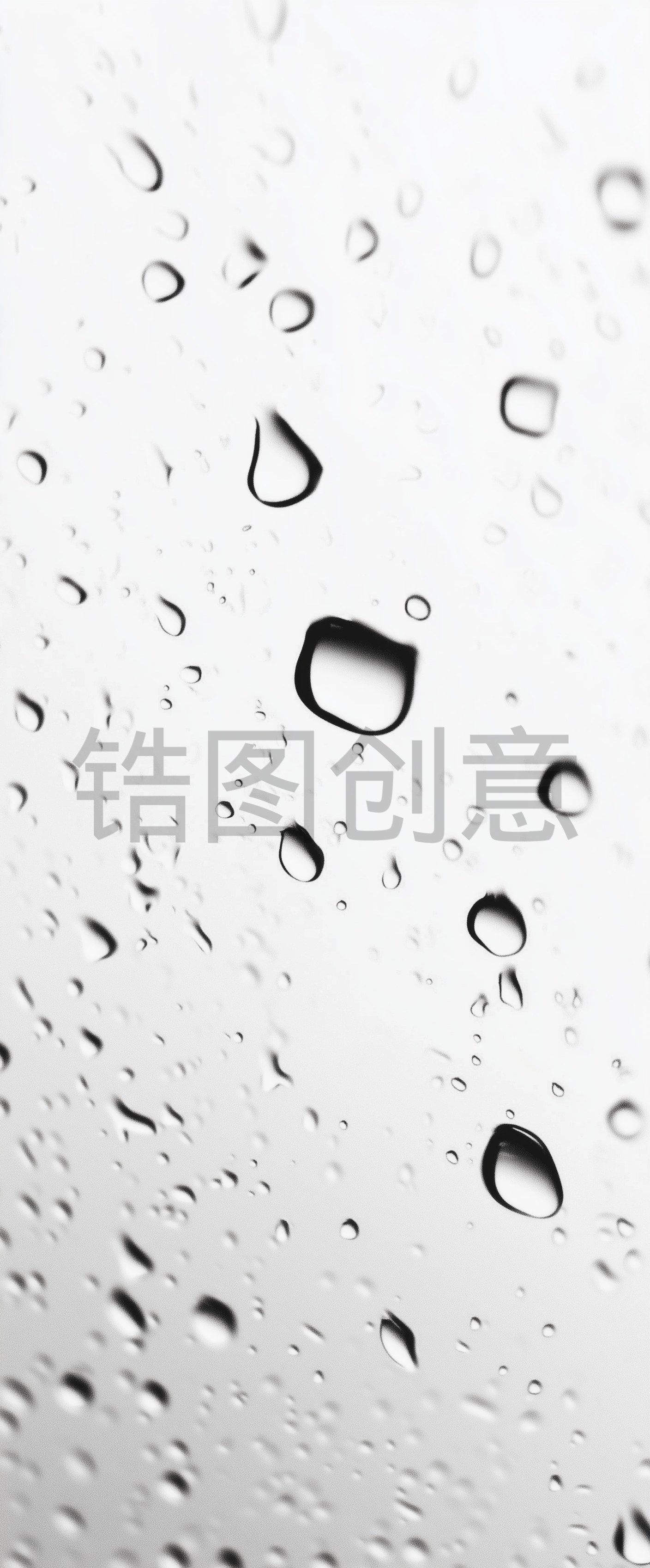 水滴水珠露珠雨水背景