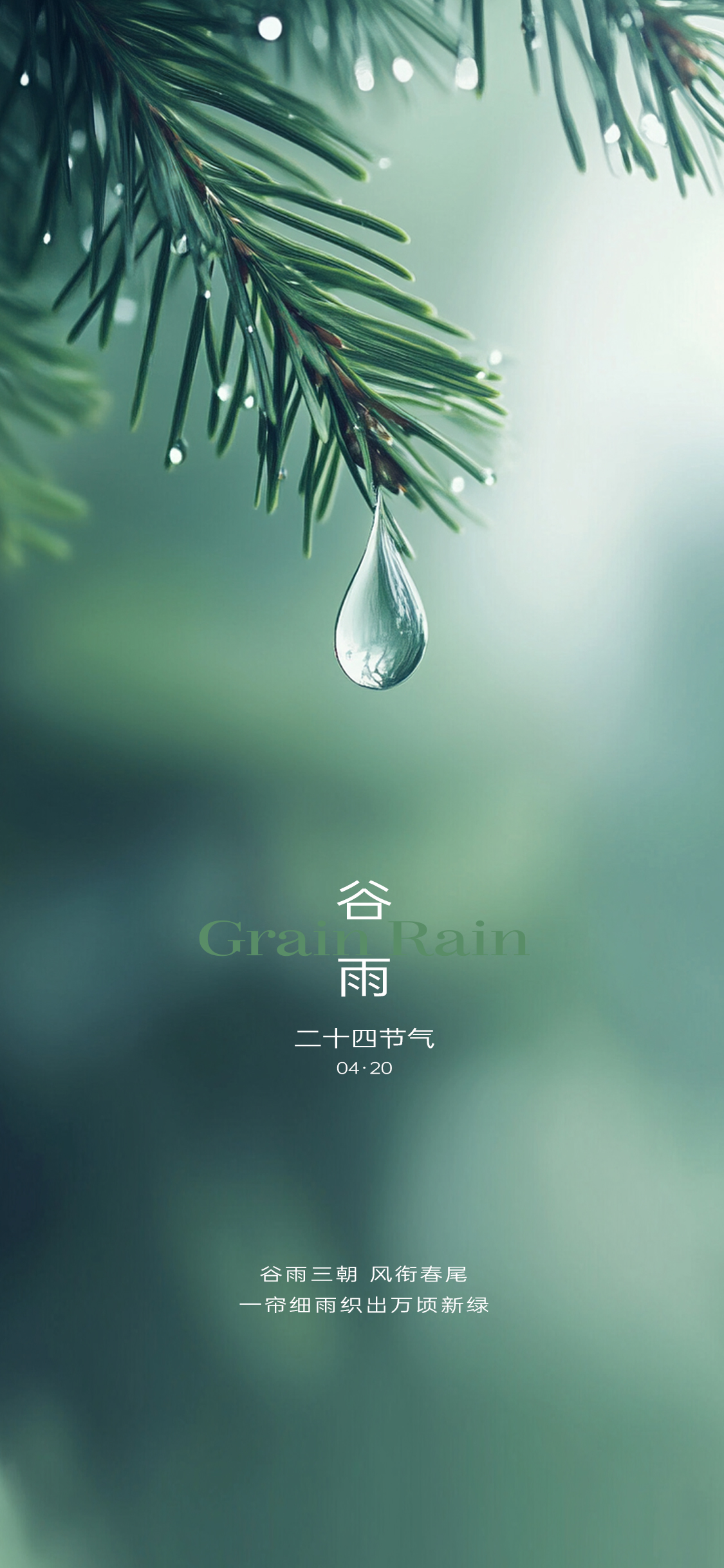 谷雨雨水写意海报