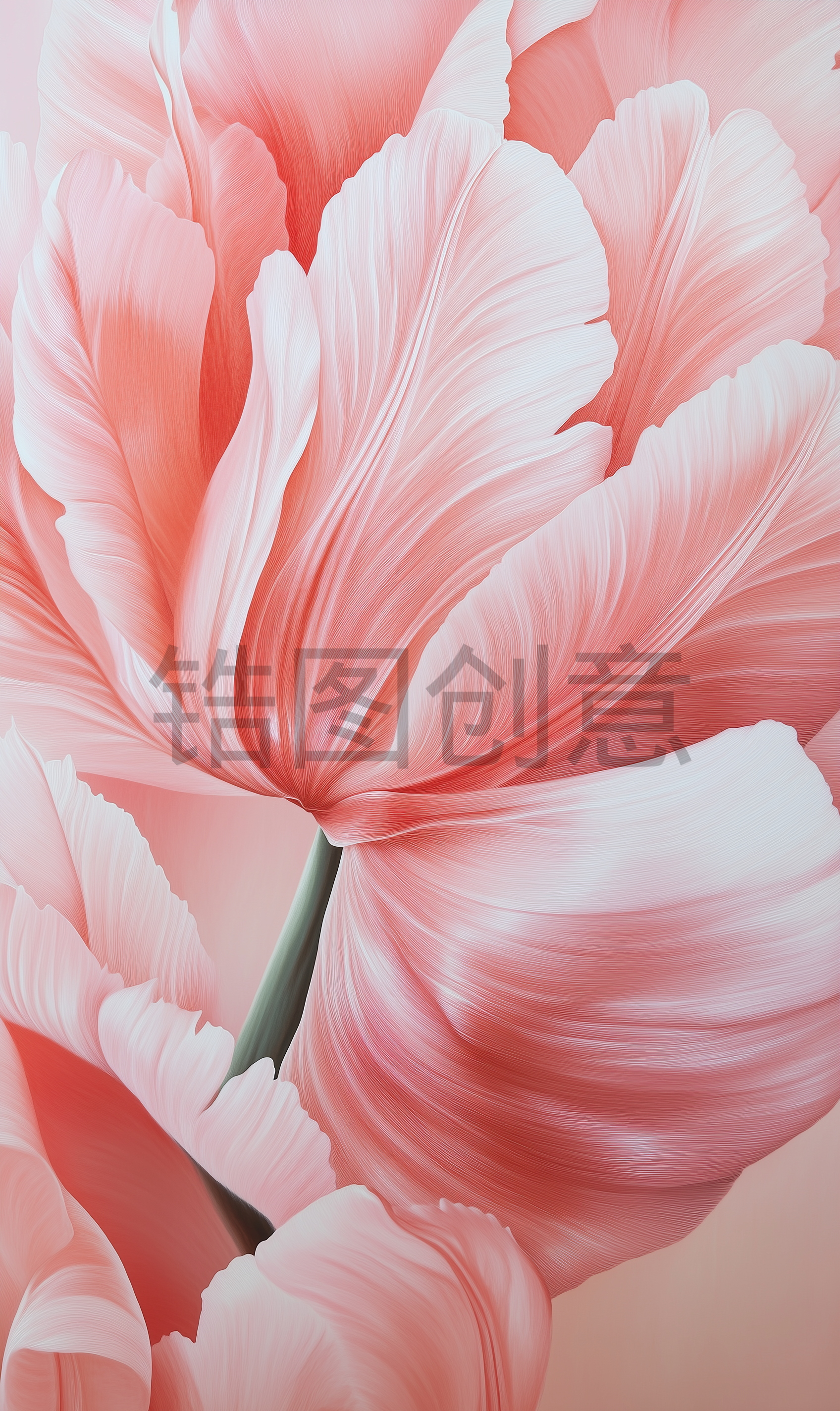 近距离拍摄花粉红色的花瓣特写背景
