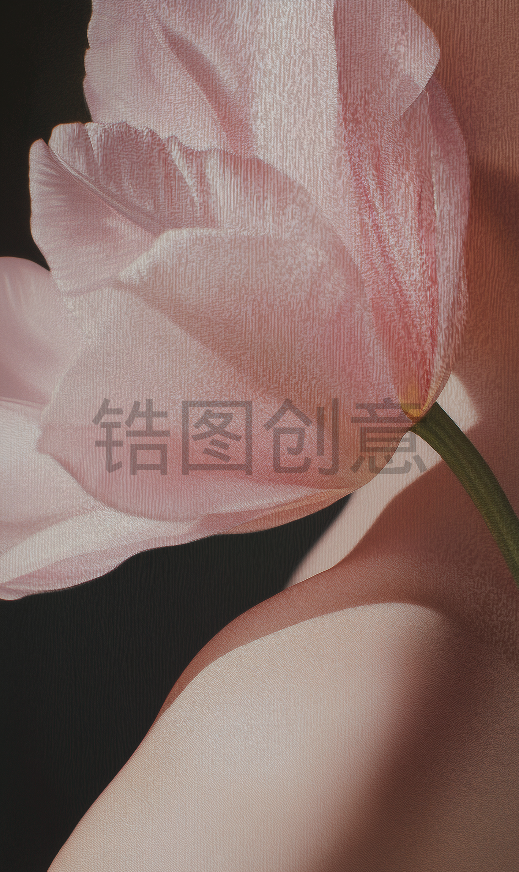 植物系列肌理感粉色花朵背景