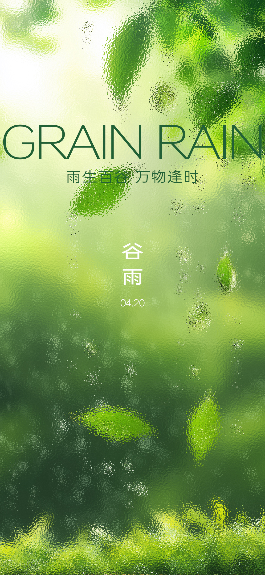 谷雨雨水夏至海报