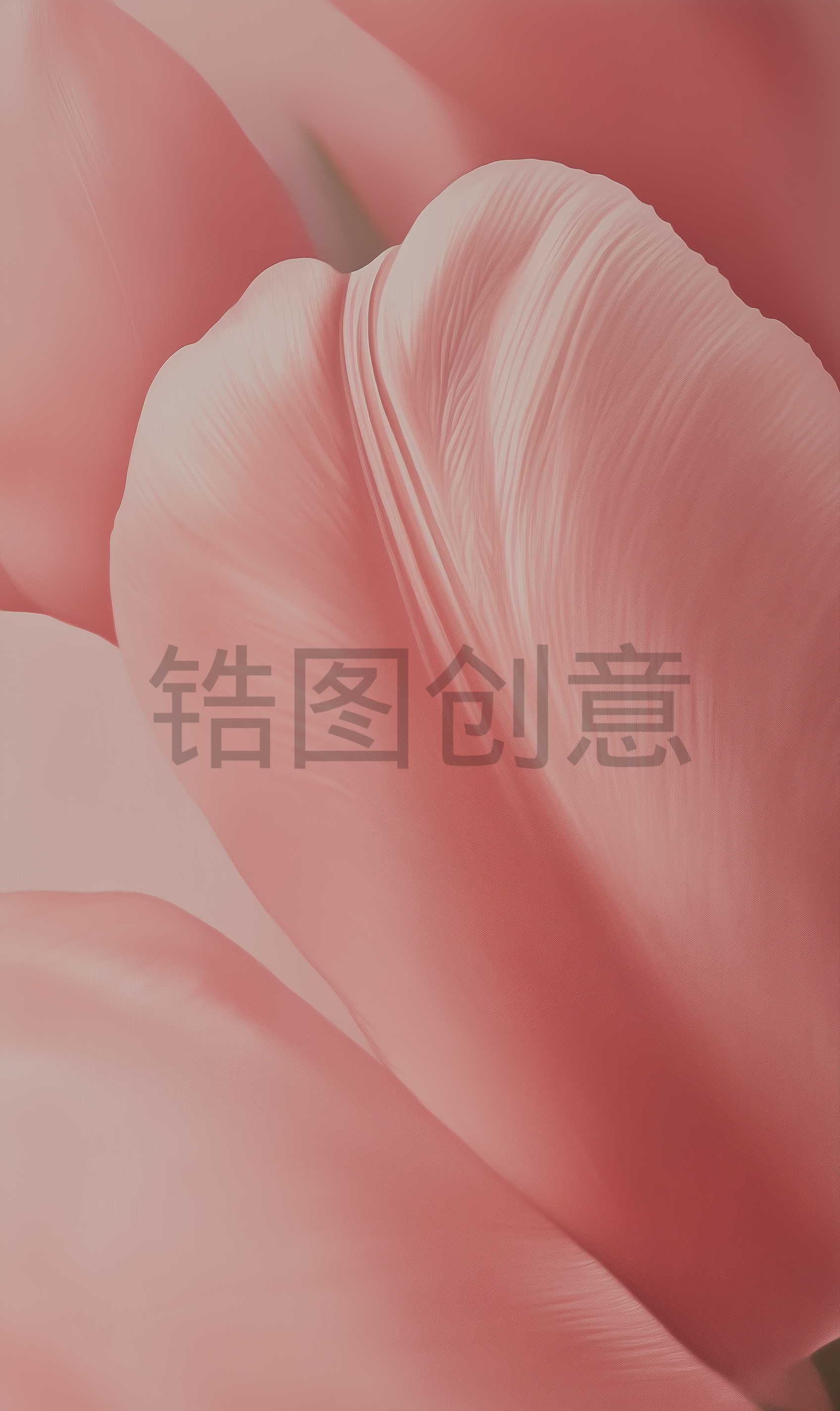 近距离拍摄花粉红色的花瓣背景