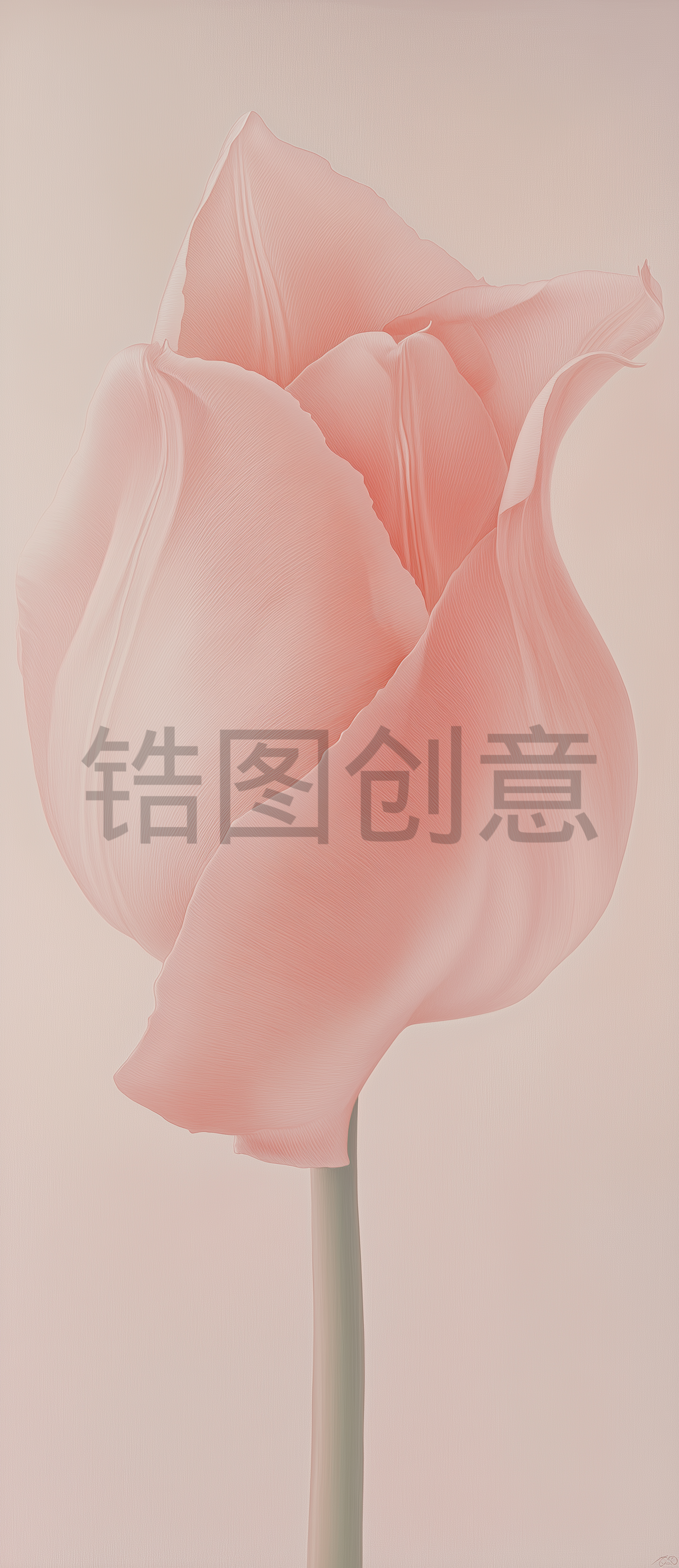 粉色的花背景